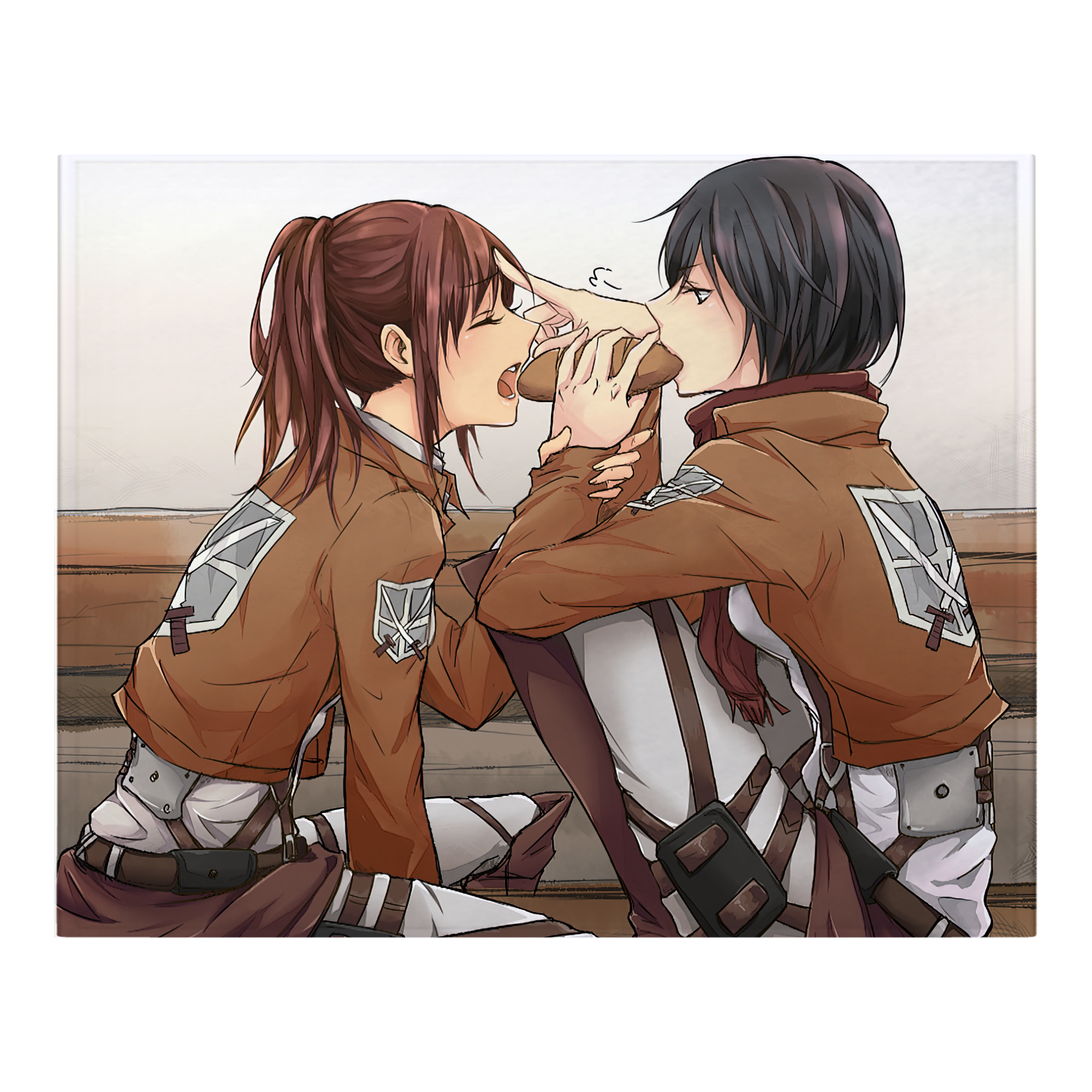 （画像用） 進撃の巨人 Attack on Titan フランネルブランケット・多サイズ対応（横型）