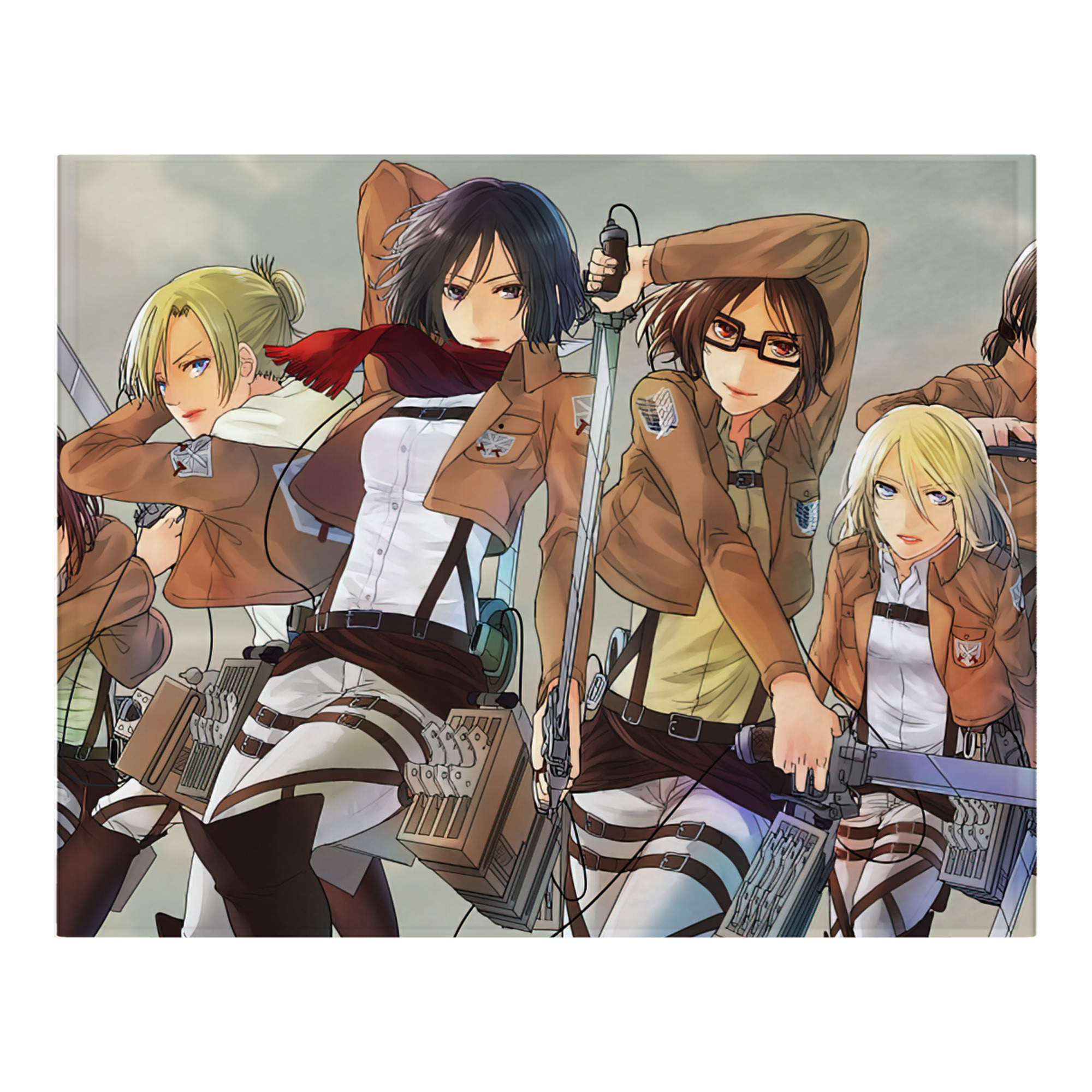 （画像用） 進撃の巨人 Attack on Titan フランネルブランケット・多サイズ対応（横型）