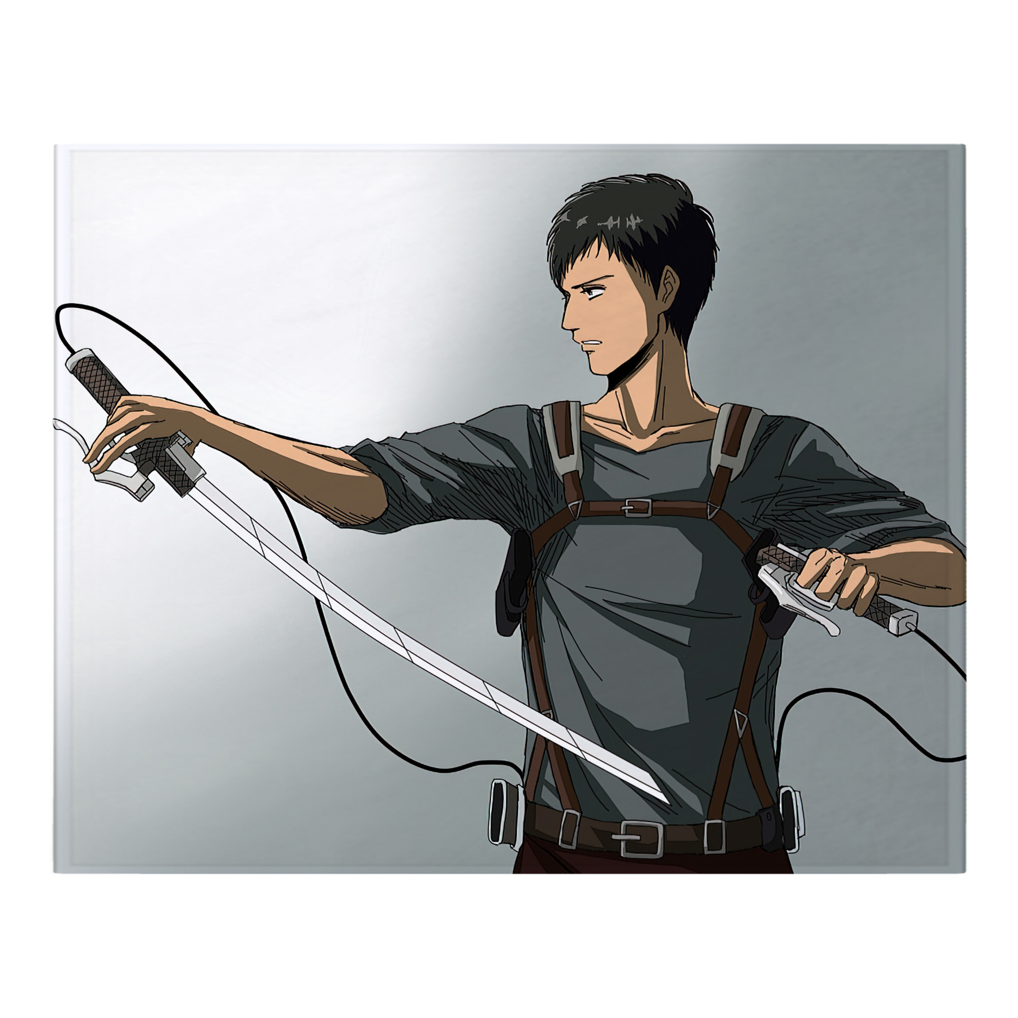 （画像用） 進撃の巨人 Attack on Titan フランネルブランケット・多サイズ対応（横型）