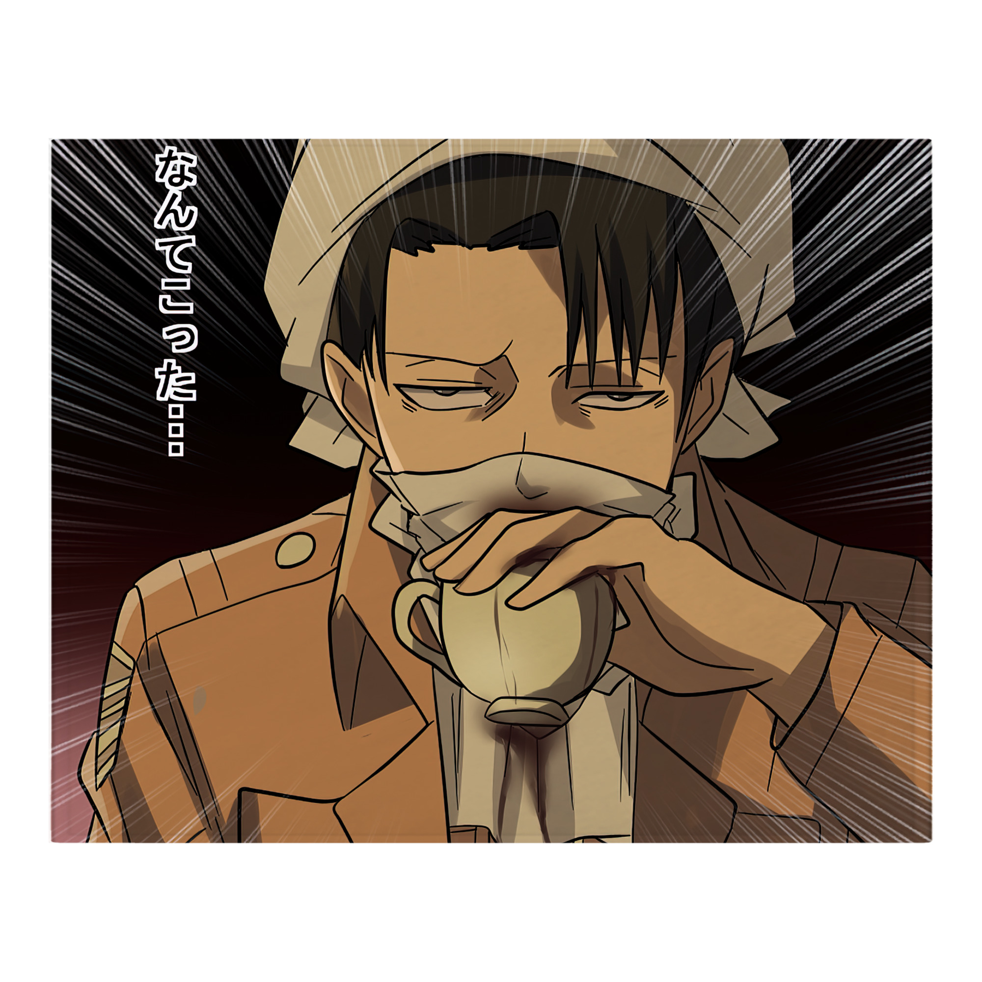 （画像用） 進撃の巨人 Attack on Titan フランネルブランケット・多サイズ対応（横型）