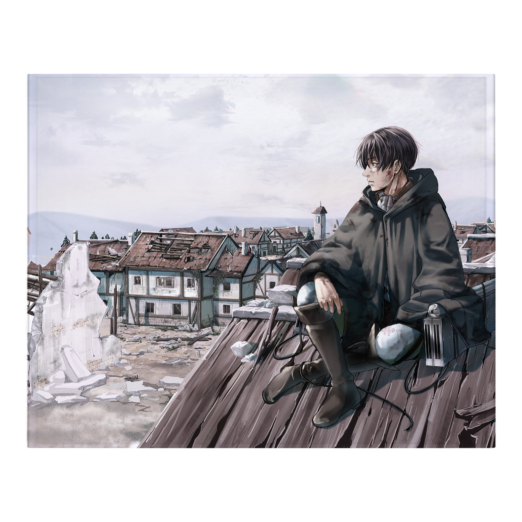 （画像用） 進撃の巨人 Attack on Titan フランネルブランケット・多サイズ対応（横型）
