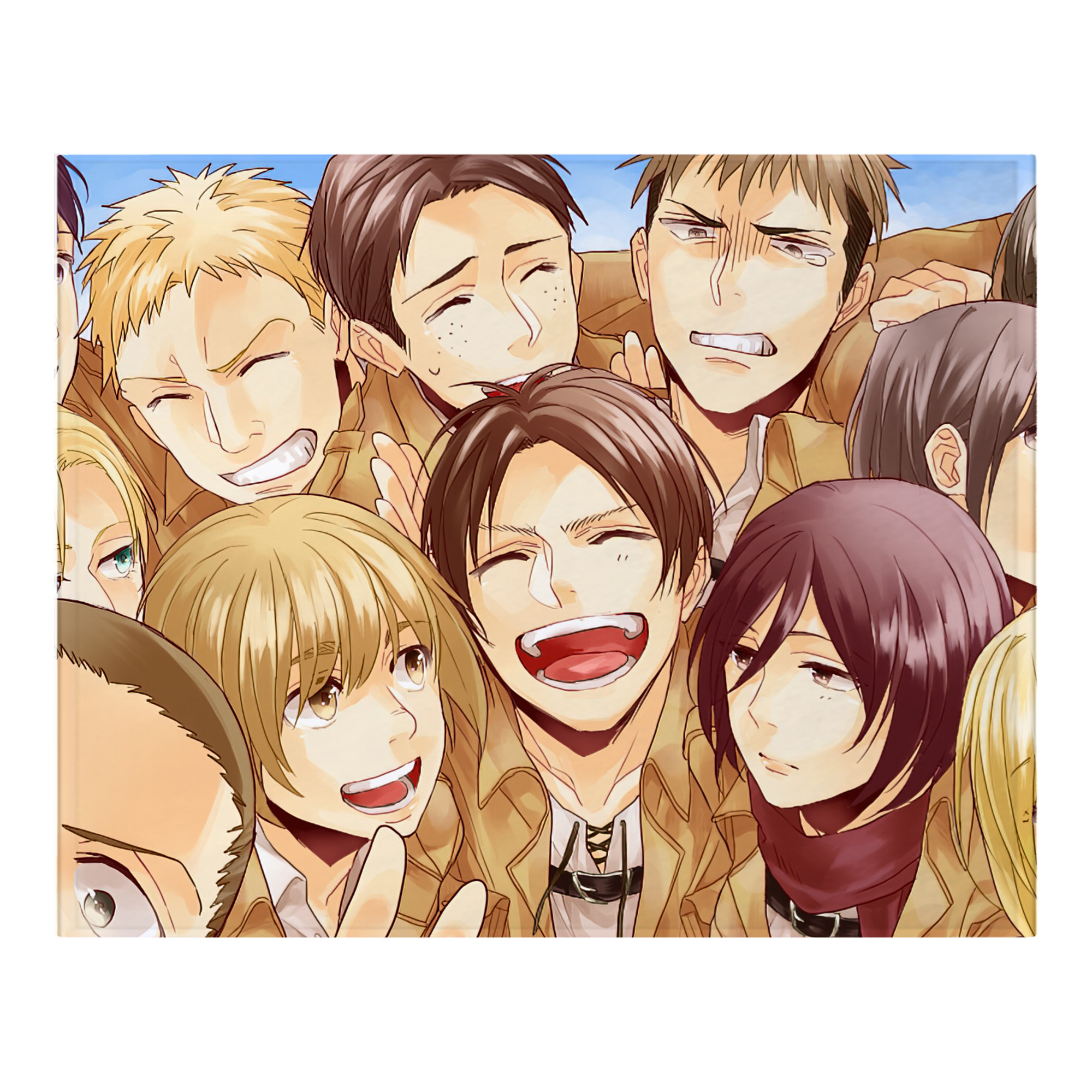（画像用） 進撃の巨人 Attack on Titan フランネルブランケット・多サイズ対応（横型）