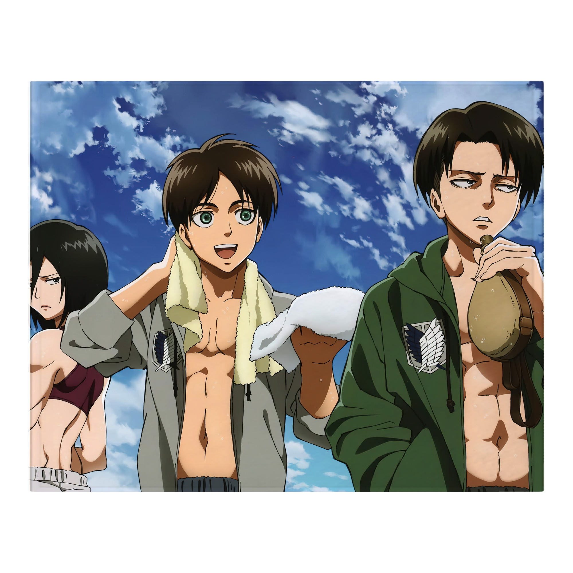 （画像用） 進撃の巨人 Attack on Titan フランネルブランケット・多サイズ対応（横型）