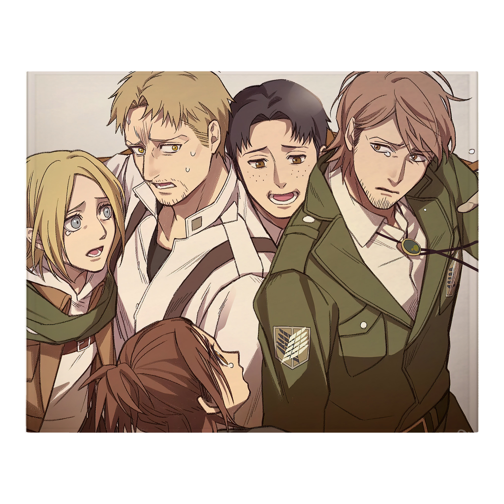 （画像用） 進撃の巨人 Attack on Titan フランネルブランケット・多サイズ対応（横型）
