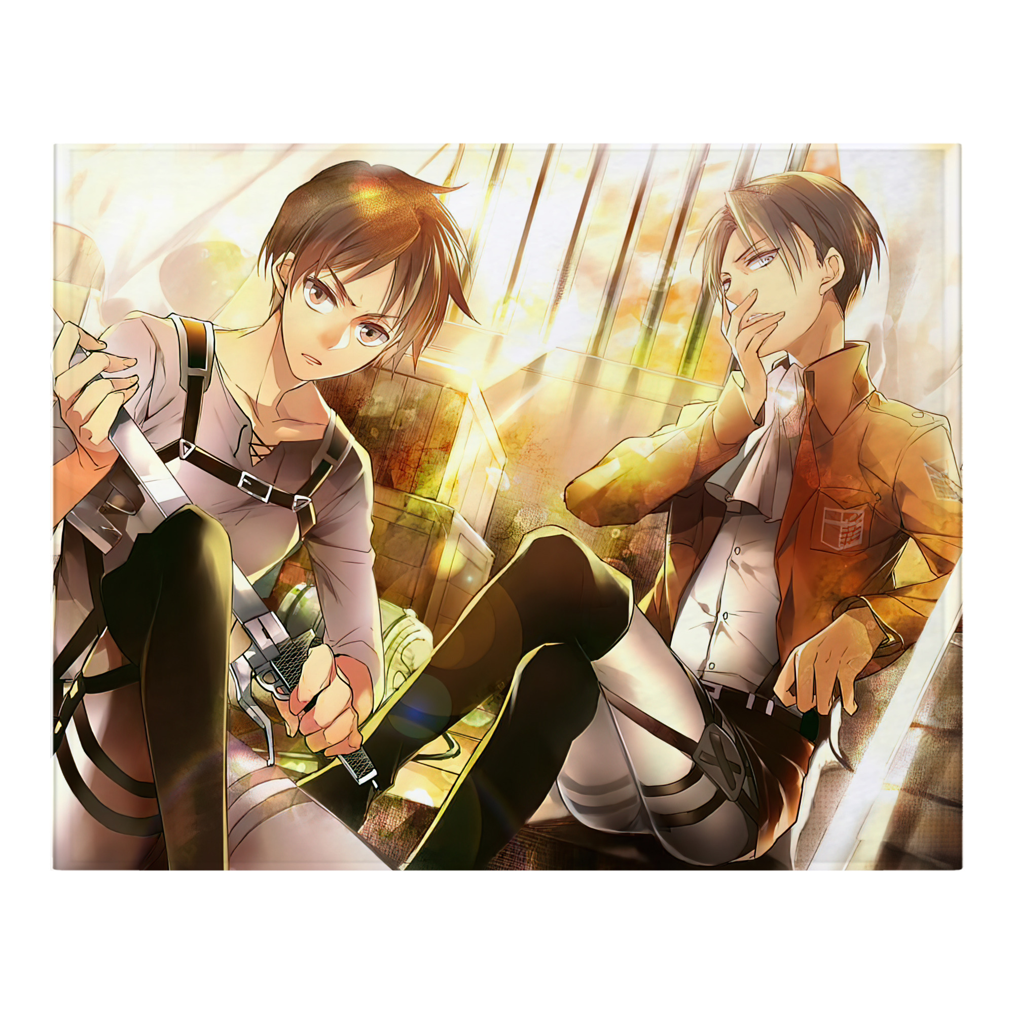 （画像用） 進撃の巨人 Attack on Titan フランネルブランケット・多サイズ対応（横型）