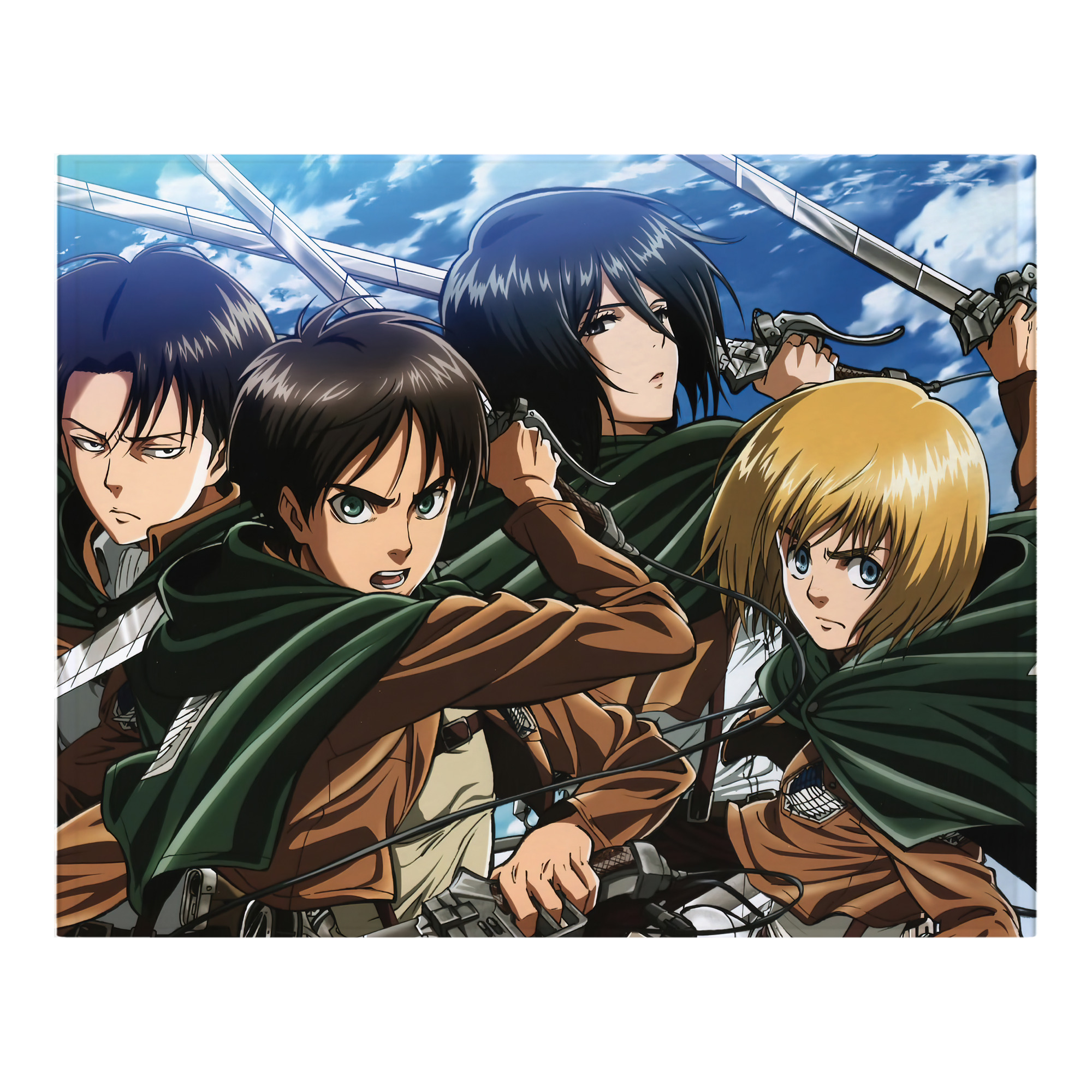 （画像用） 進撃の巨人 Attack on Titan フランネルブランケット・多サイズ対応（横型）