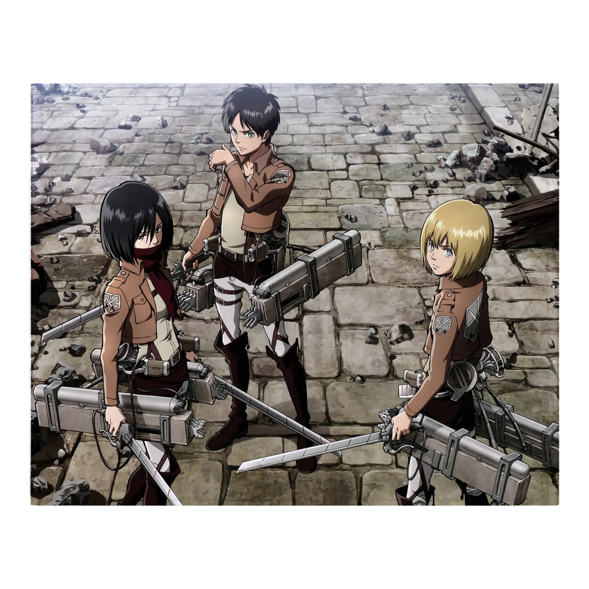 （画像用） 進撃の巨人 Attack on Titan フランネルブランケット・多サイズ対応（横型）