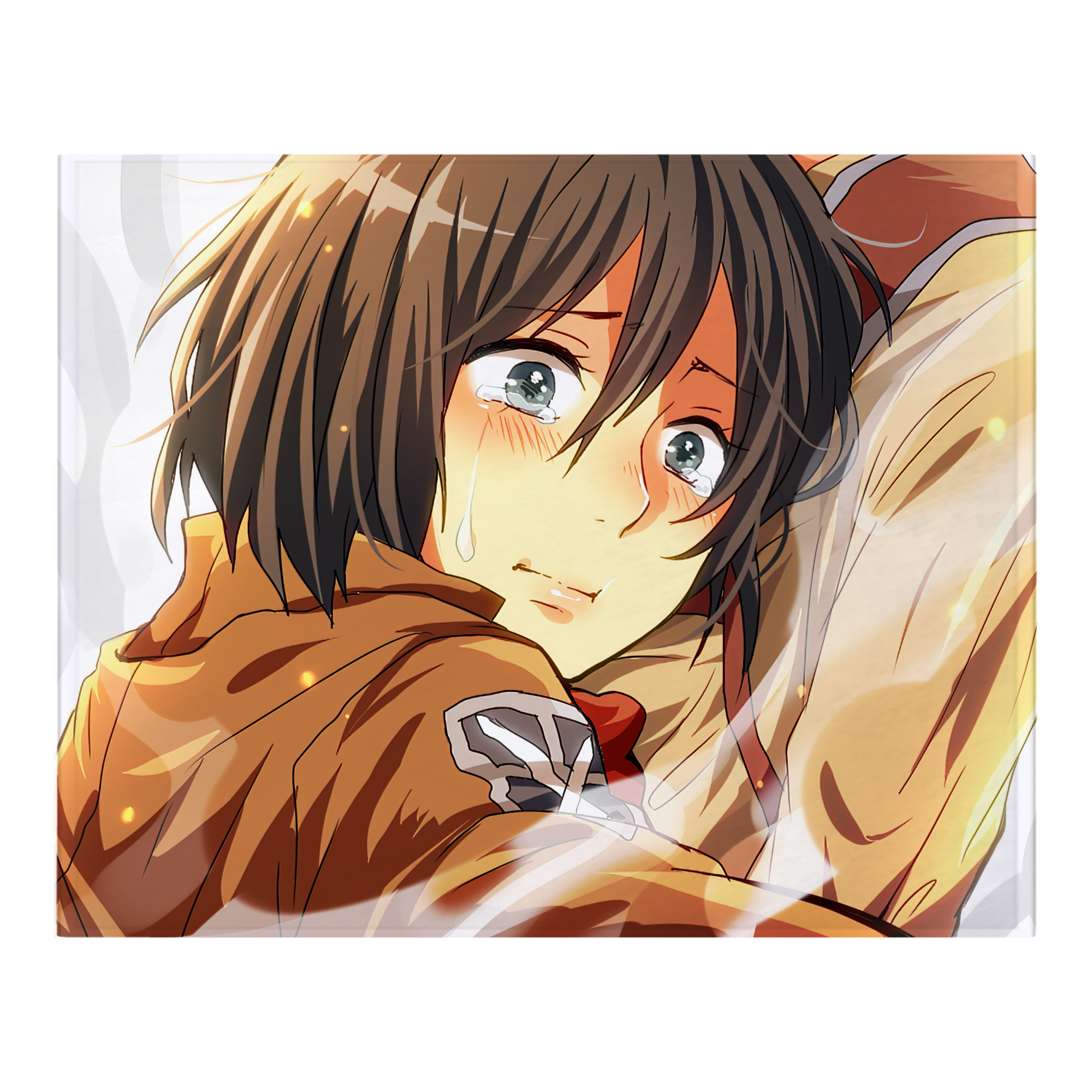 （画像用） 進撃の巨人 Attack on Titan フランネルブランケット・多サイズ対応（横型）