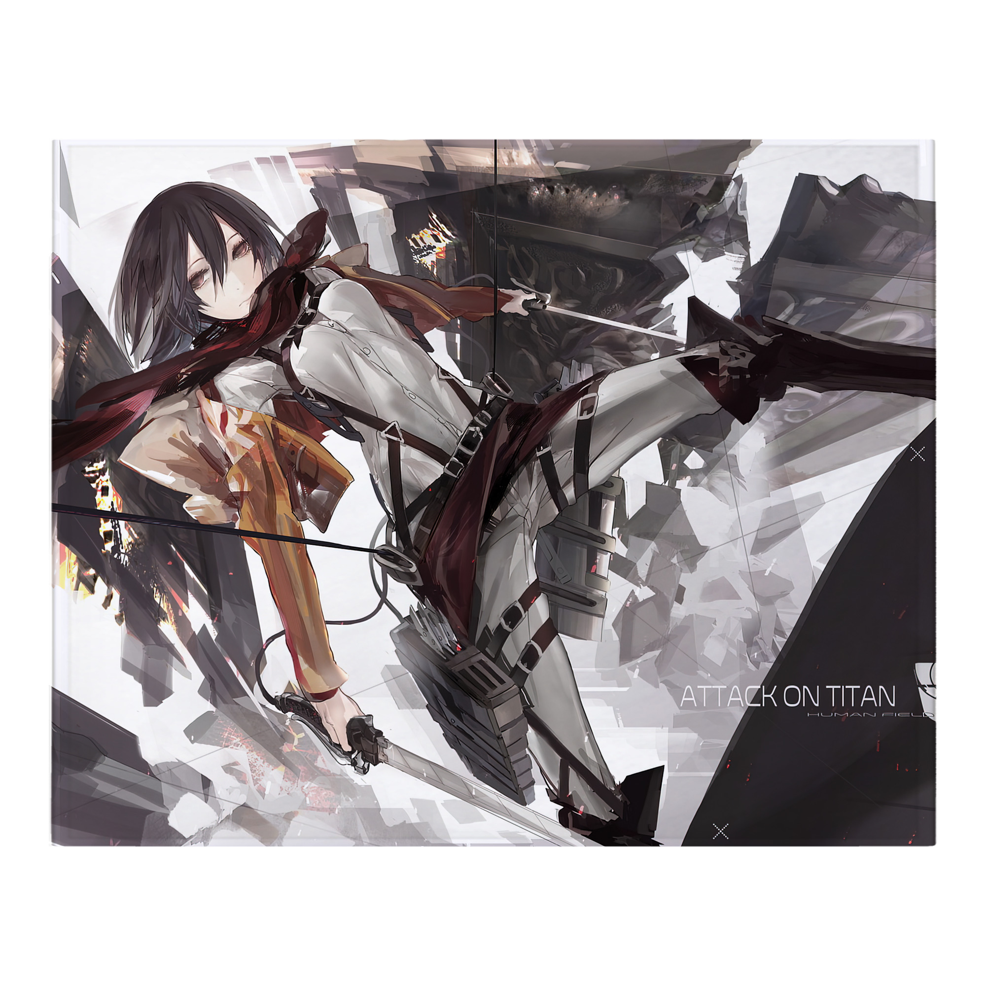 （画像用） 進撃の巨人 Attack on Titan フランネルブランケット・多サイズ対応（横型）