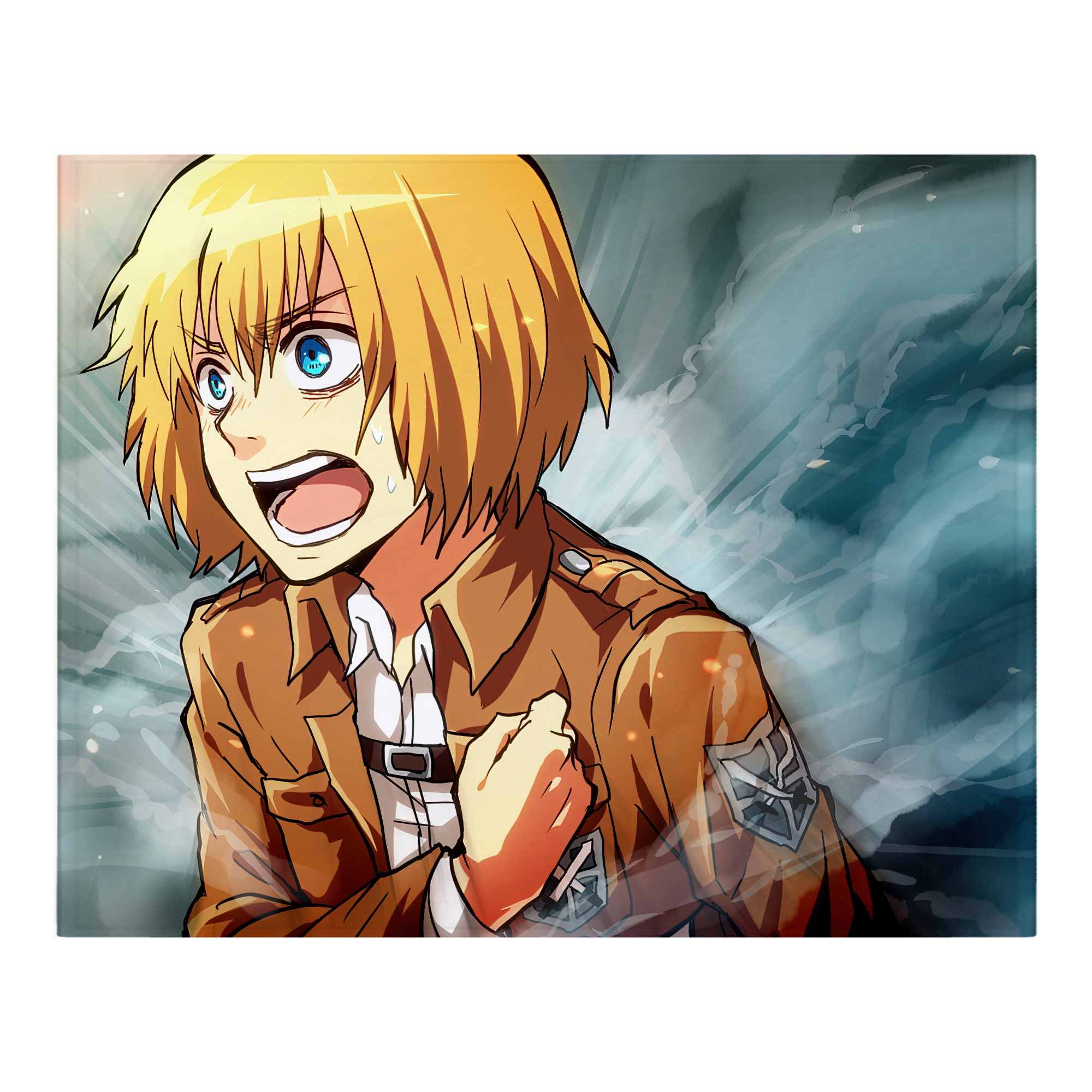 （画像用） 進撃の巨人 Attack on Titan フランネルブランケット・多サイズ対応（横型）