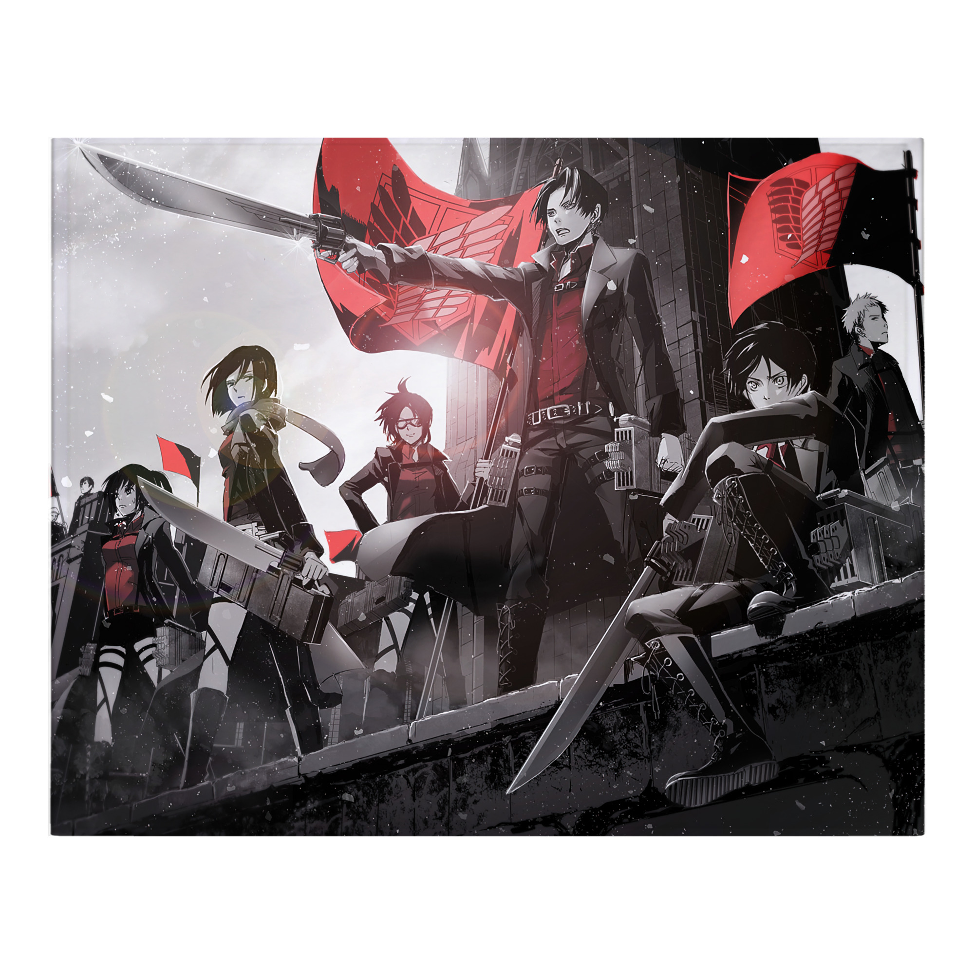 （画像用） 進撃の巨人 Attack on Titan フランネルブランケット・多サイズ対応（横型）