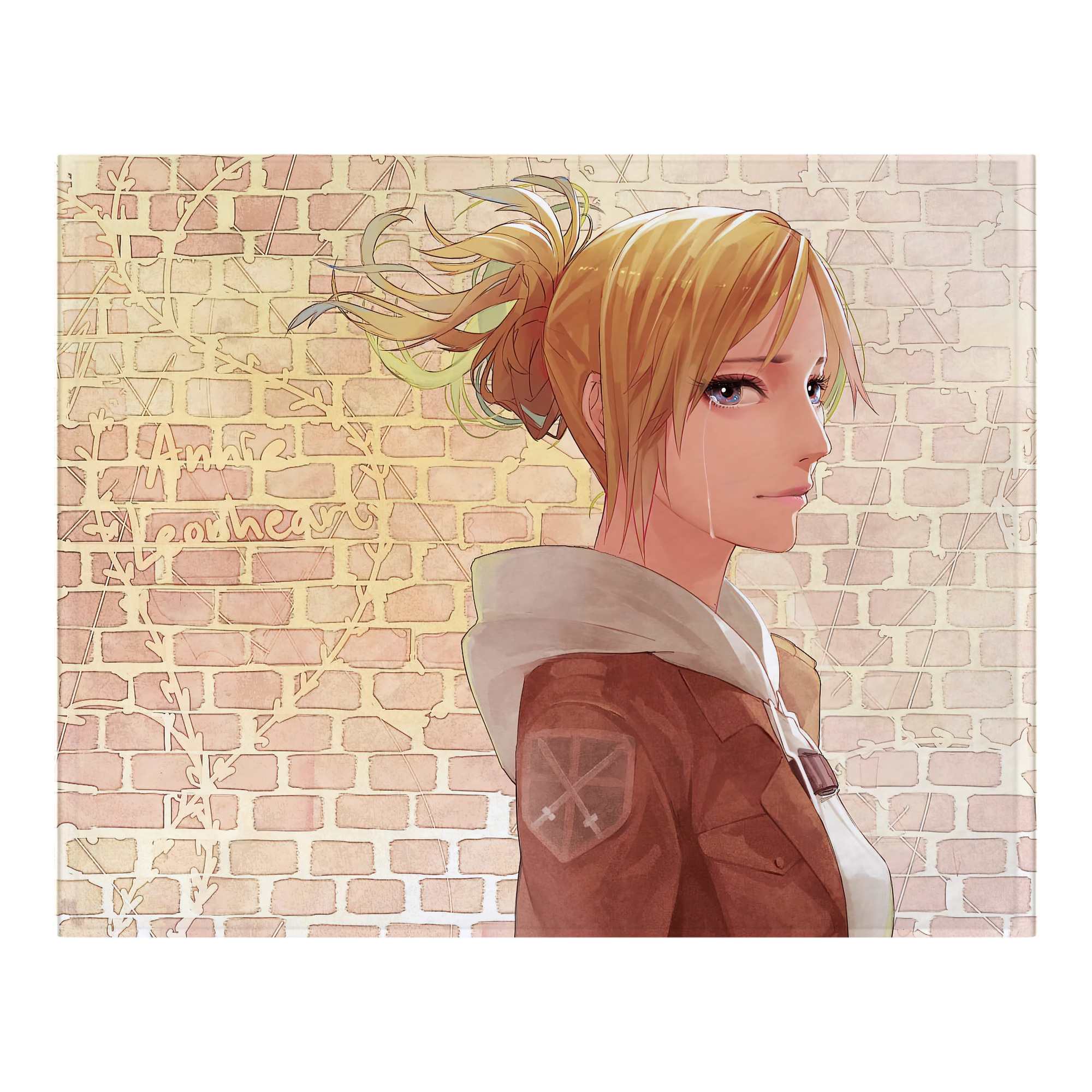 （画像用） 進撃の巨人 Attack on Titan フランネルブランケット・多サイズ対応（横型）