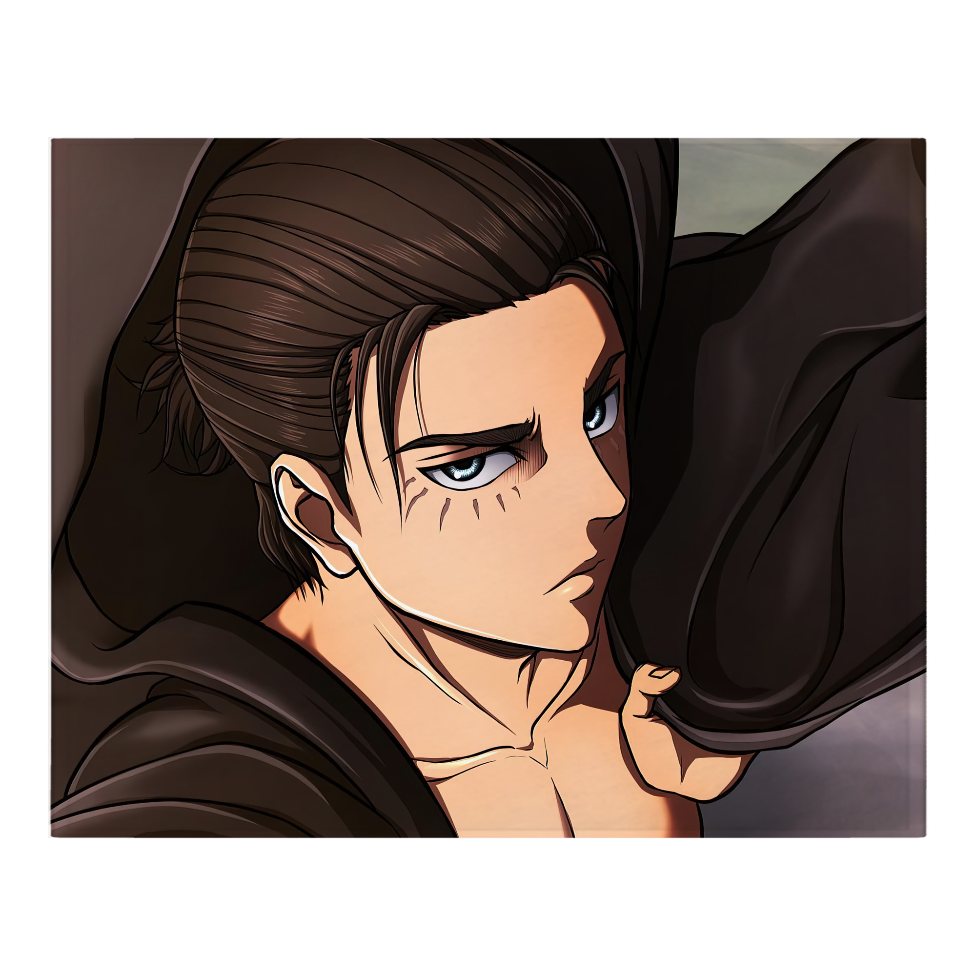 （画像用） 進撃の巨人 Attack on Titan フランネルブランケット・多サイズ対応（横型）