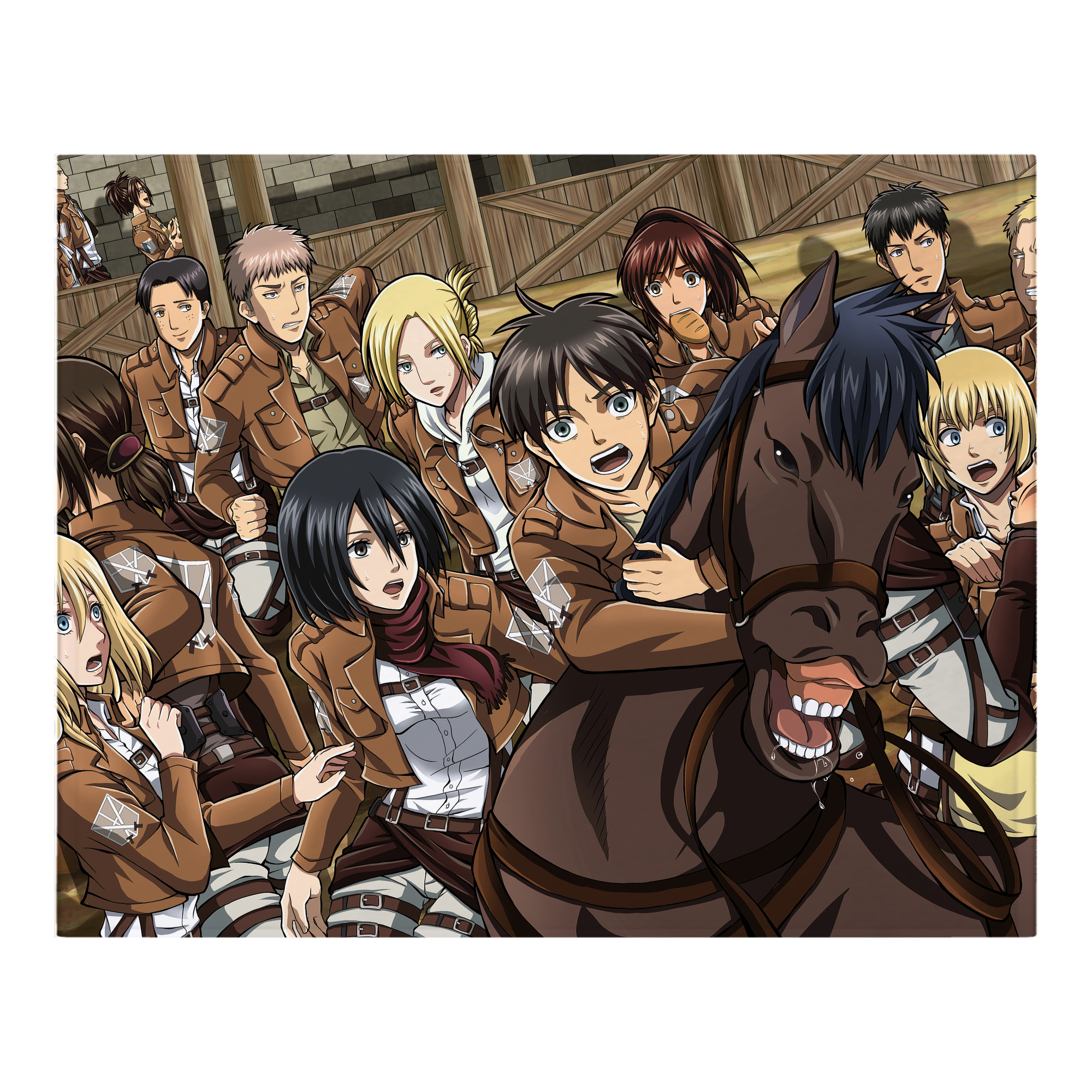 （画像用） 進撃の巨人 Attack on Titan フランネルブランケット・多サイズ対応（横型）