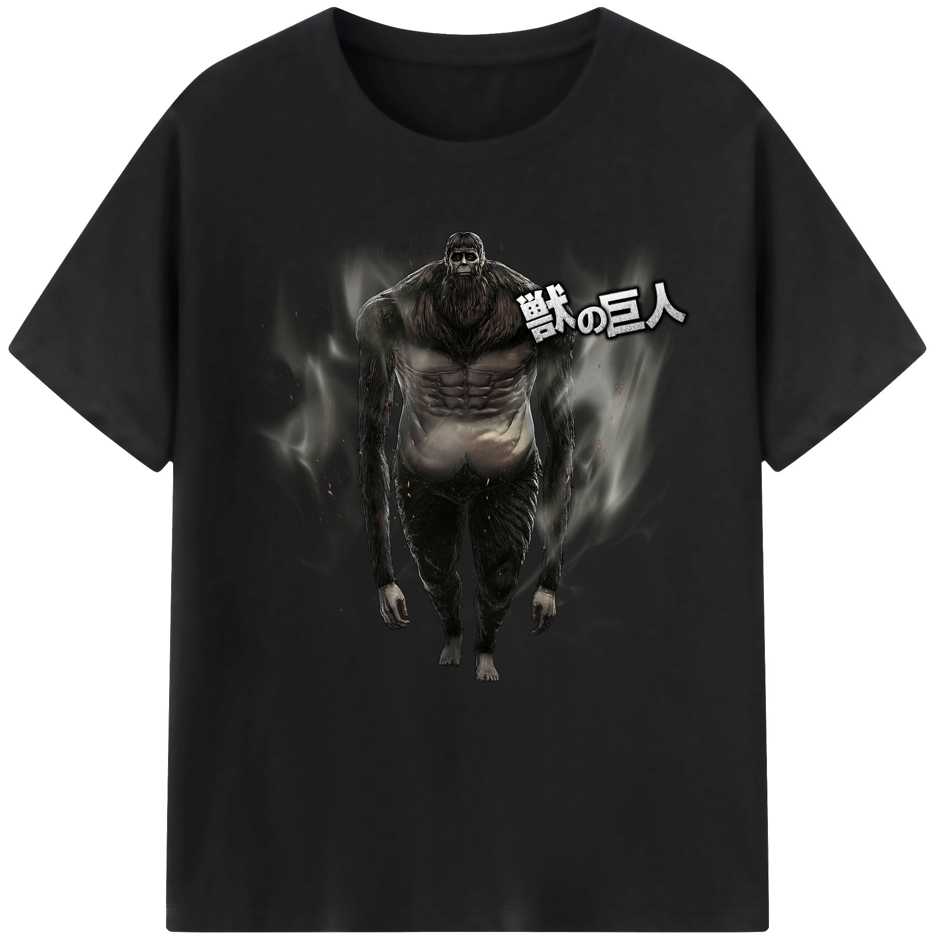 （画像用） 進撃の巨人 Attack on Titan 綿100％半袖Tシャツ（フロントプリント）