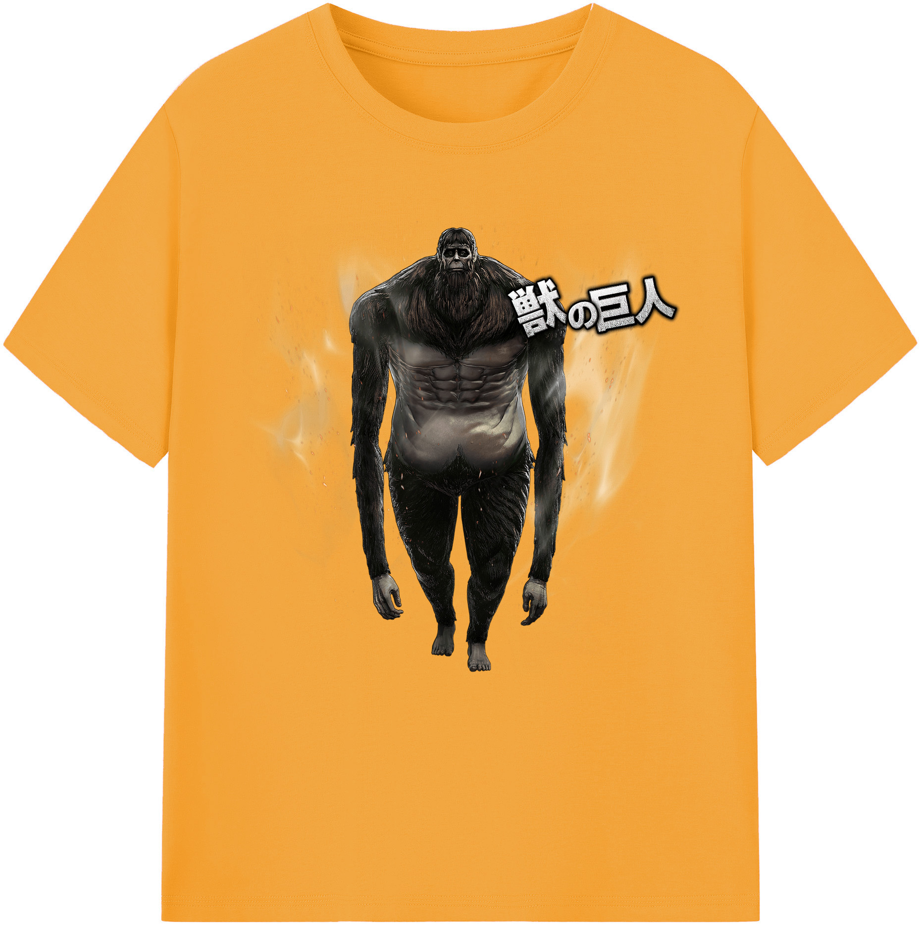 （画像用） 進撃の巨人 Attack on Titan 綿100％半袖Tシャツ（フロントプリント）