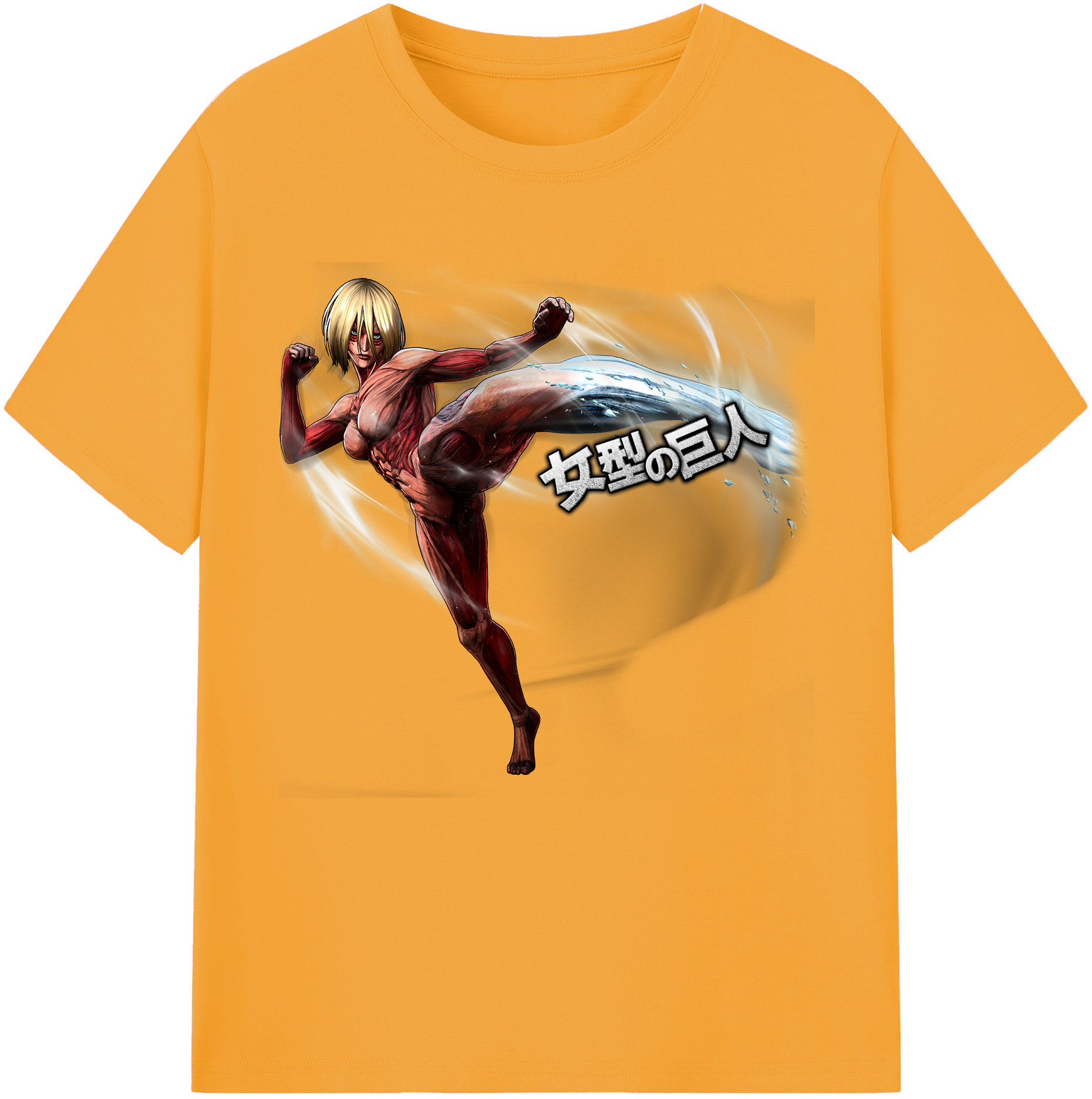 （画像用） 進撃の巨人 Attack on Titan 綿100％半袖Tシャツ（フロントプリント）