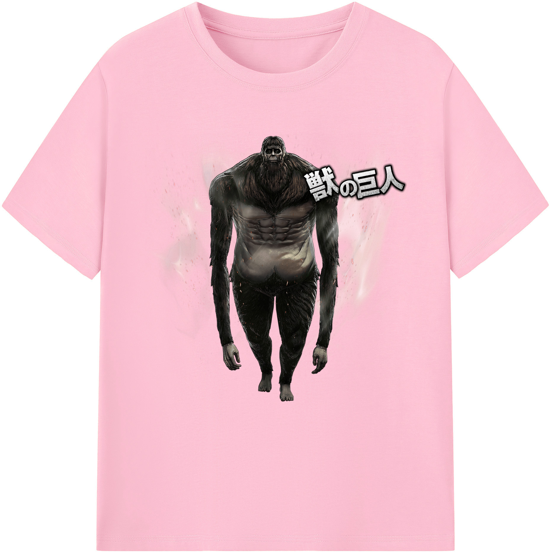 （画像用） 進撃の巨人 Attack on Titan 綿100％半袖Tシャツ（フロントプリント）