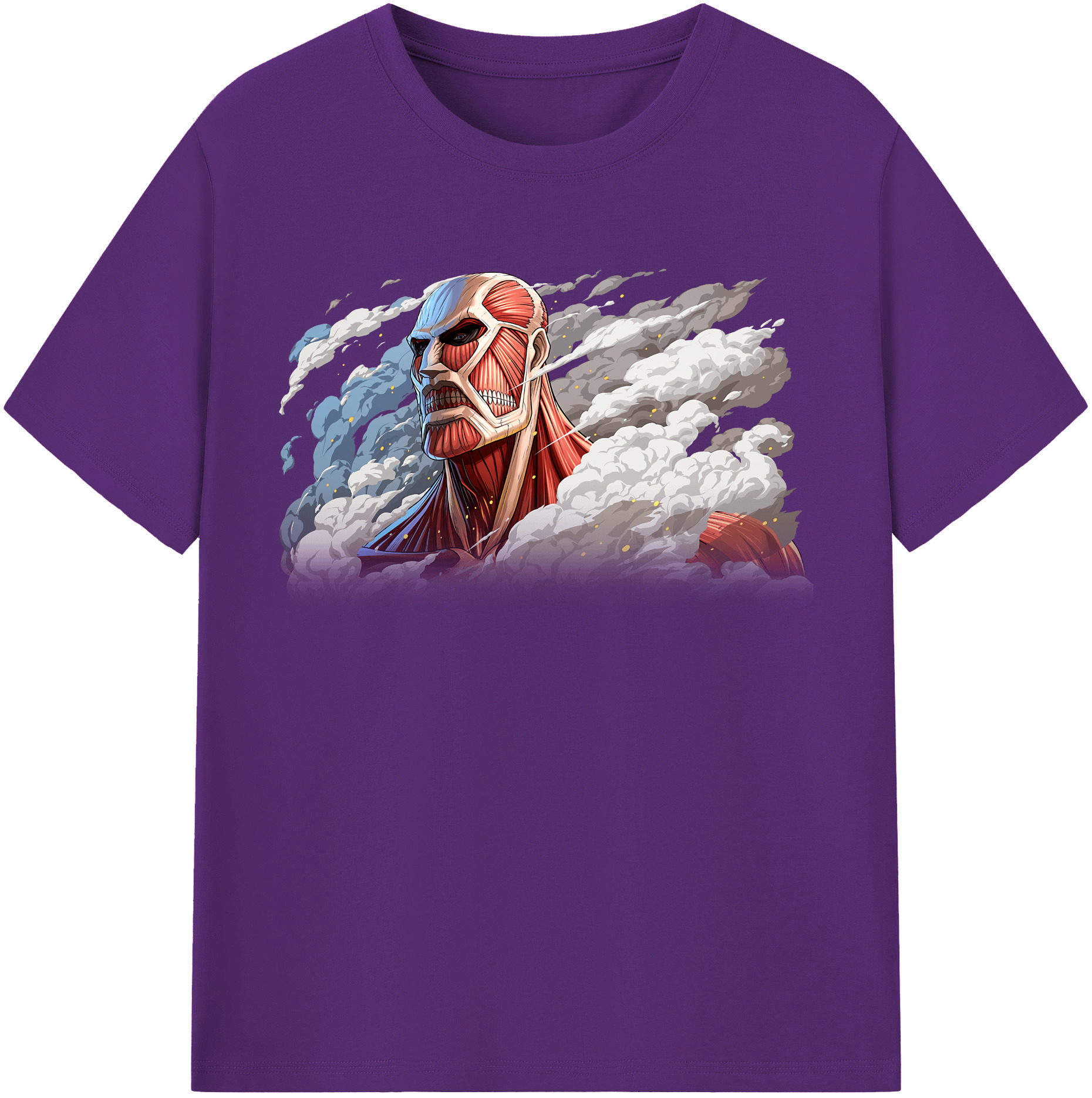 （画像用） 進撃の巨人 Attack on Titan 綿100％半袖Tシャツ（フロントプリント）
