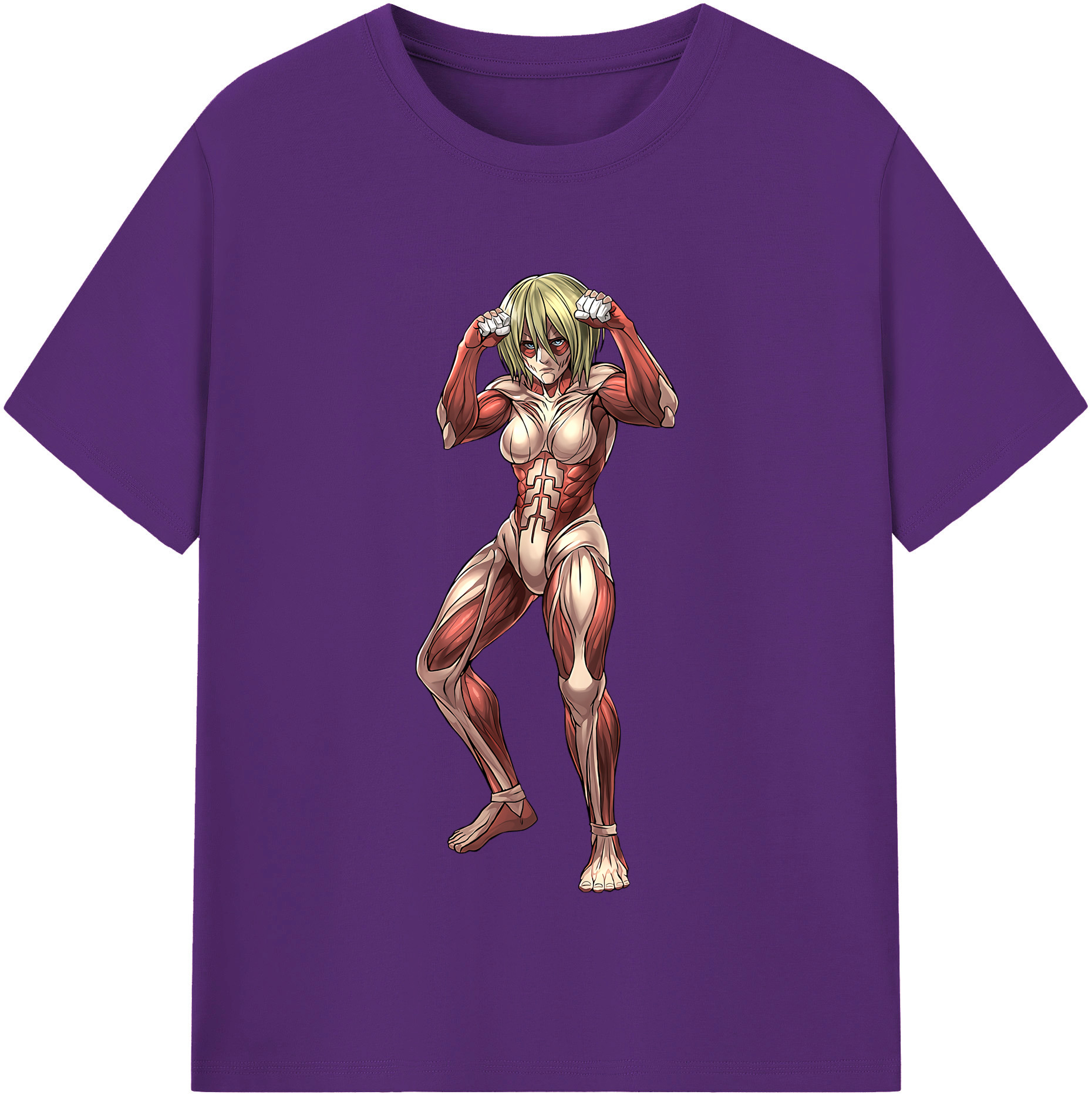 （画像用） 進撃の巨人 Attack on Titan 綿100％半袖Tシャツ（フロントプリント）