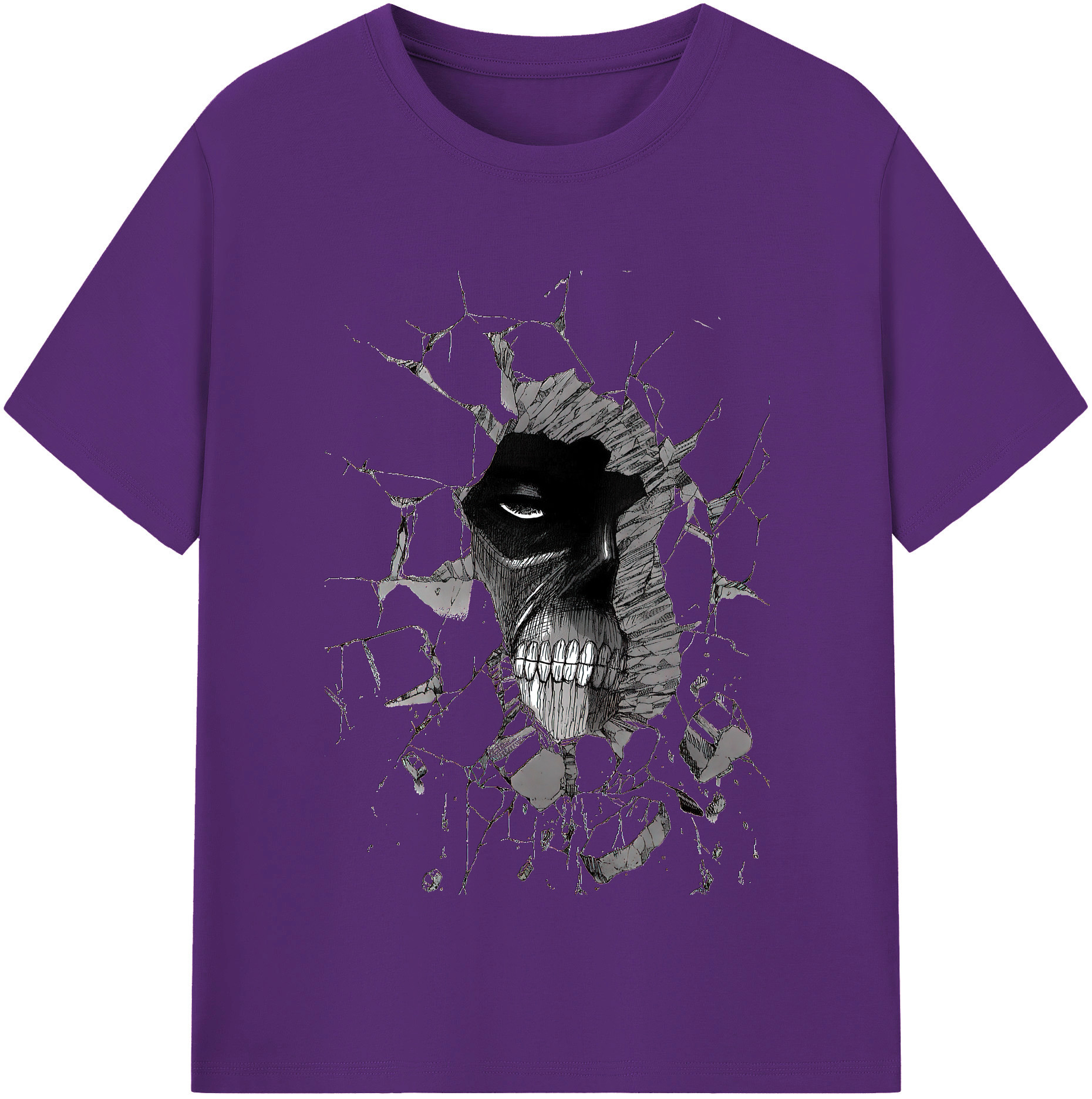 （画像用） 進撃の巨人 Attack on Titan 綿100％半袖Tシャツ（フロントプリント）