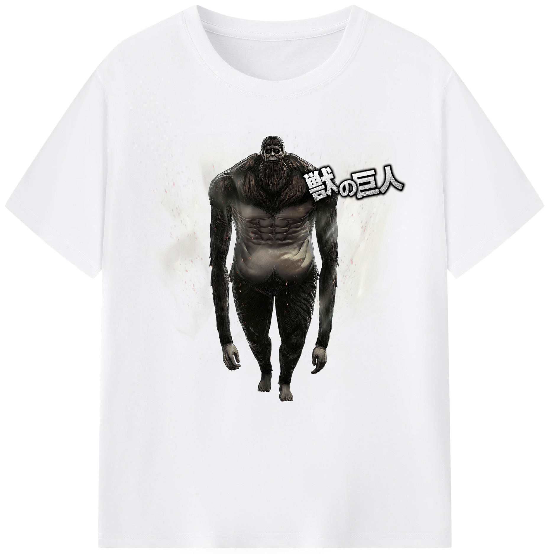 （画像用） 進撃の巨人 Attack on Titan 綿100％半袖Tシャツ（フロントプリント）