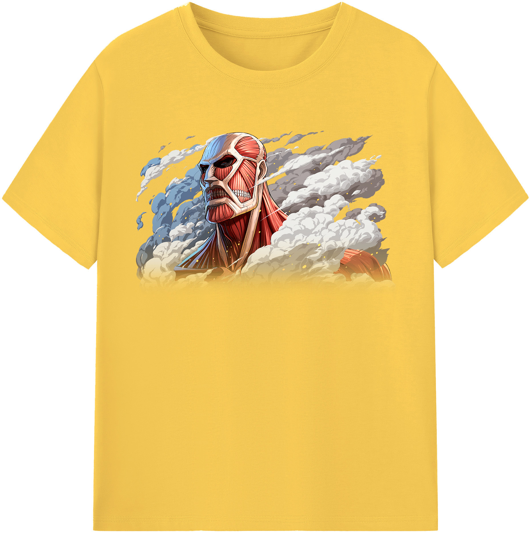 （画像用） 進撃の巨人 Attack on Titan 綿100％半袖Tシャツ（フロントプリント）