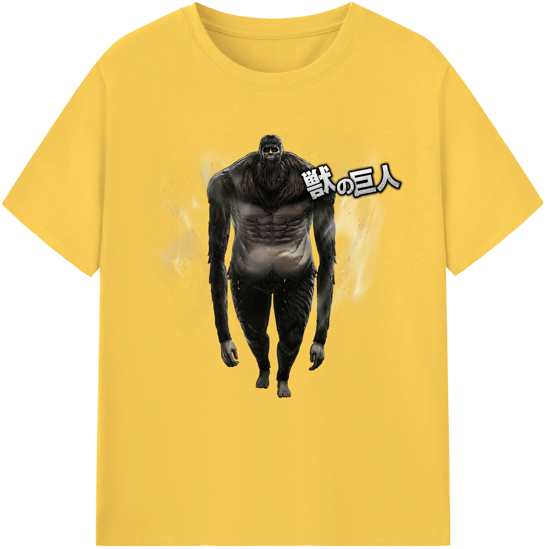 （画像用） 進撃の巨人 Attack on Titan 綿100％半袖Tシャツ（フロントプリント）