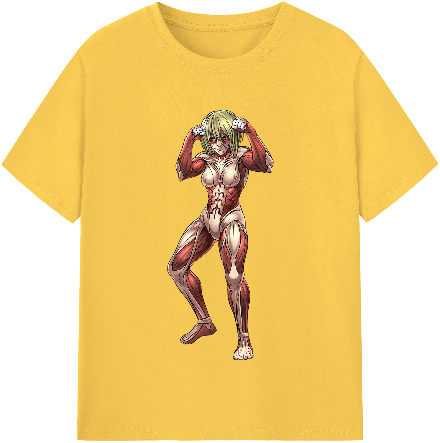 （画像用） 進撃の巨人 Attack on Titan 綿100％半袖Tシャツ（フロントプリント）