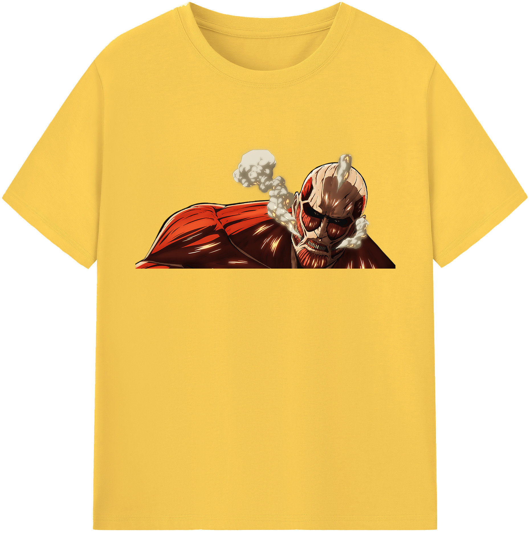 （画像用） 進撃の巨人 Attack on Titan 綿100％半袖Tシャツ（フロントプリント）
