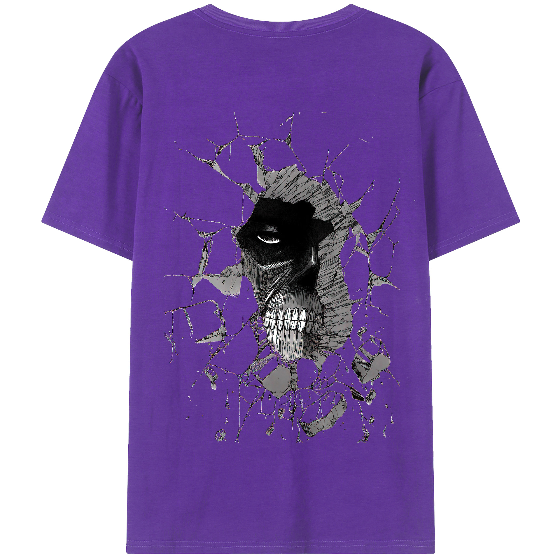 （画像用） 進撃の巨人 Attack on Titan 綿100％半袖Tシャツ（背面プリント）