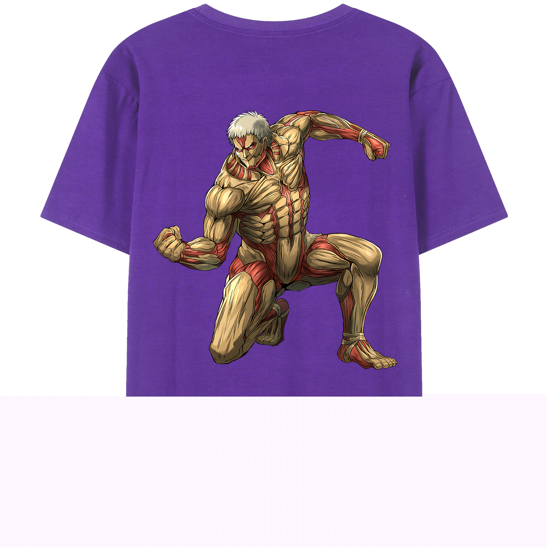 （画像用） 進撃の巨人 Attack on Titan 綿100％半袖Tシャツ（背面プリント）