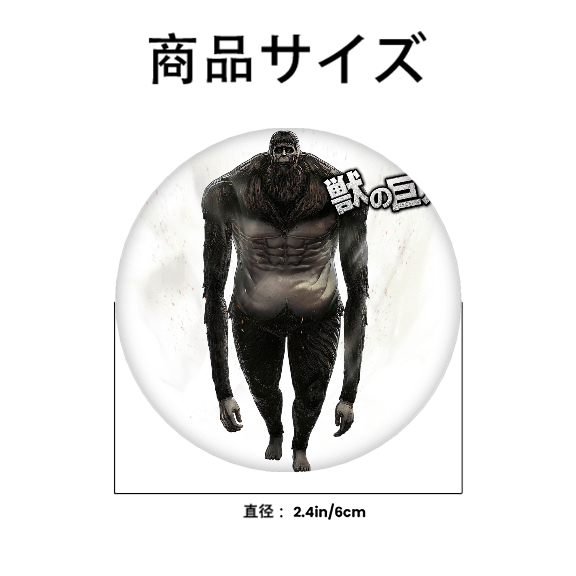 進撃の巨人 Attack on Titan 6cm 缶バッジ 複数セット