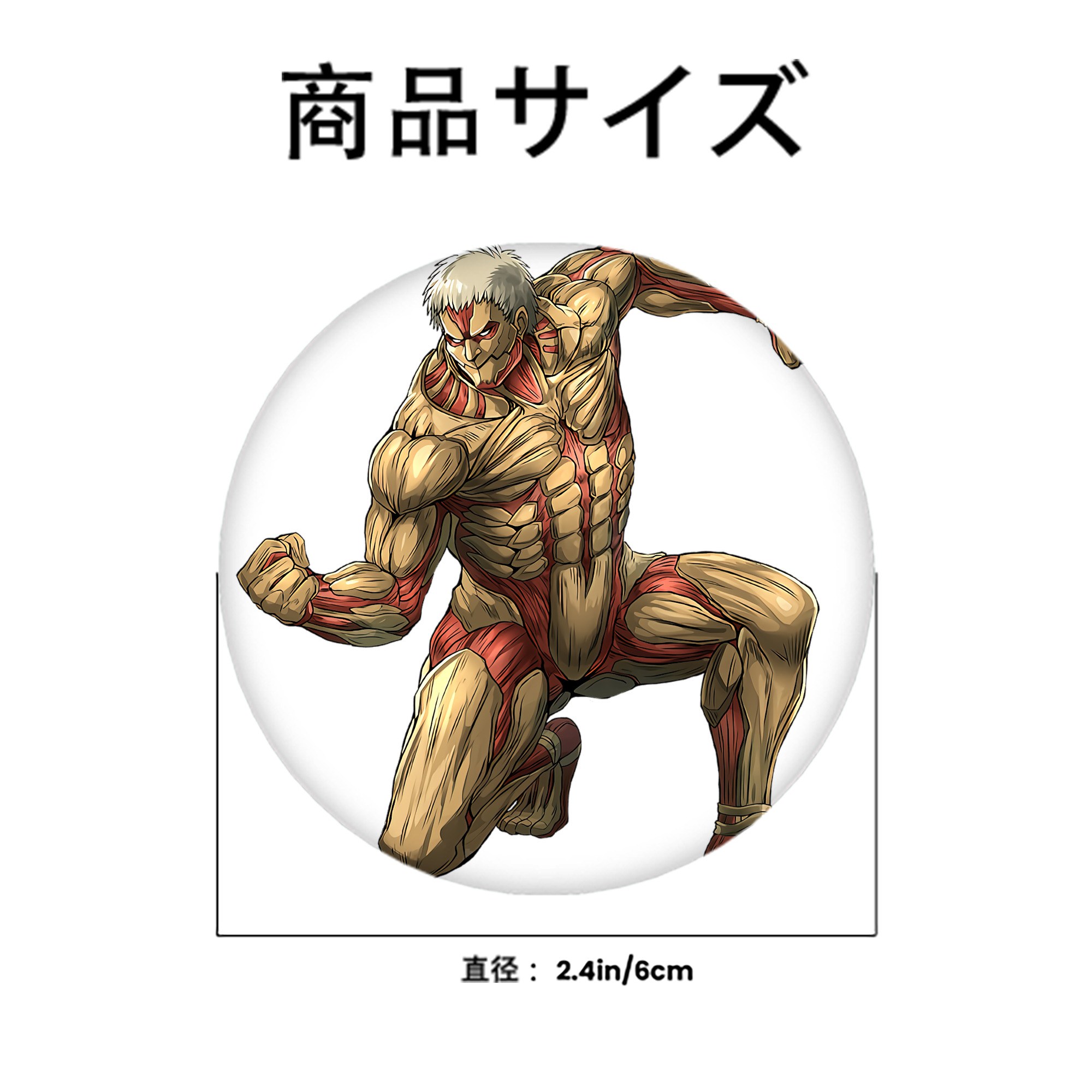 進撃の巨人 Attack on Titan 6cm 缶バッジ 複数セット