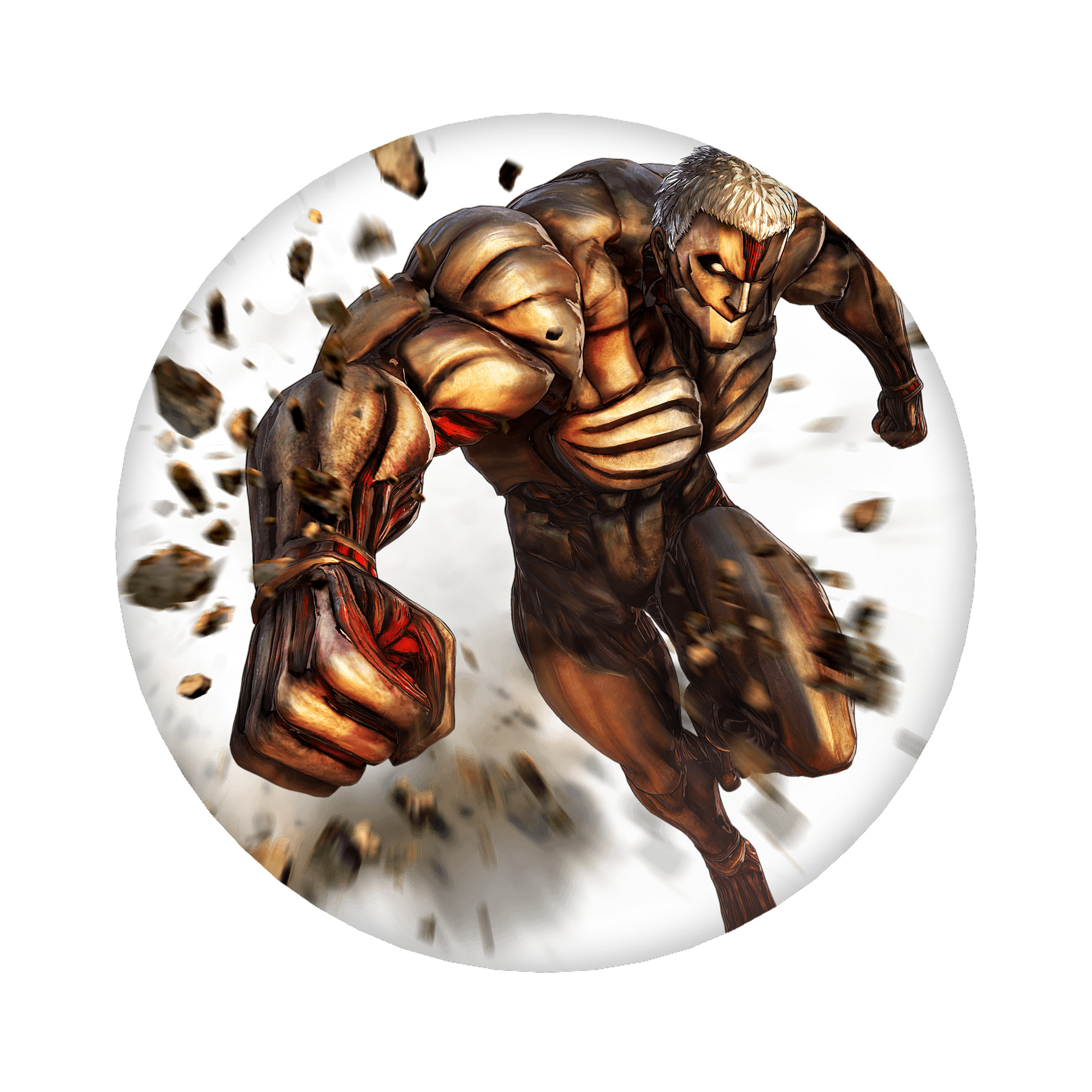 （画像用） 進撃の巨人 Attack on Titan 6cm 缶バッジ 複数セット