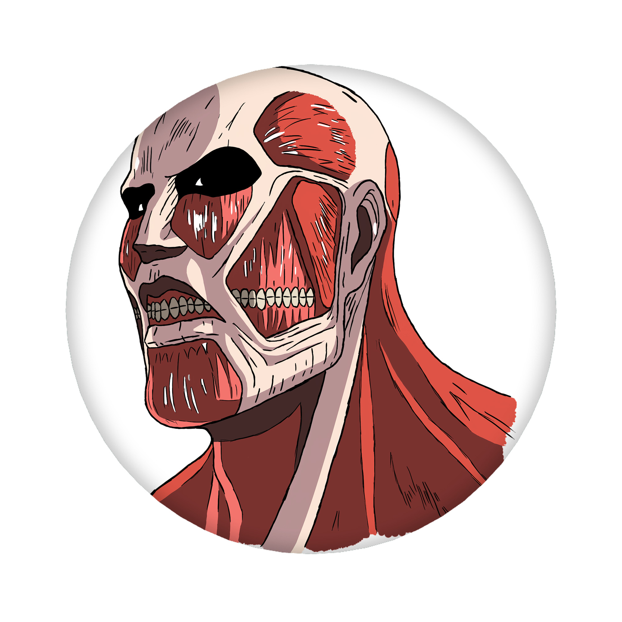 （画像用） 進撃の巨人 Attack on Titan 6cm 缶バッジ 複数セット