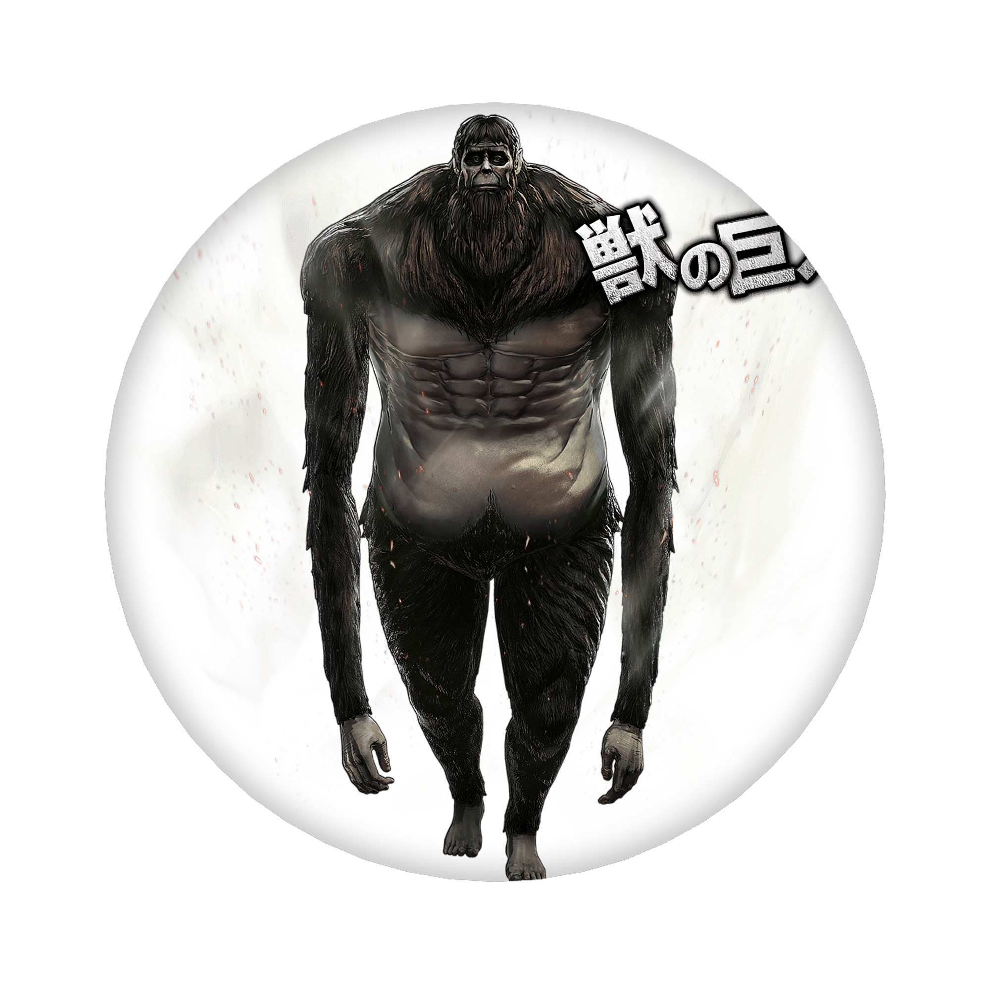 （画像用） 進撃の巨人 Attack on Titan 6cm 缶バッジ 複数セット