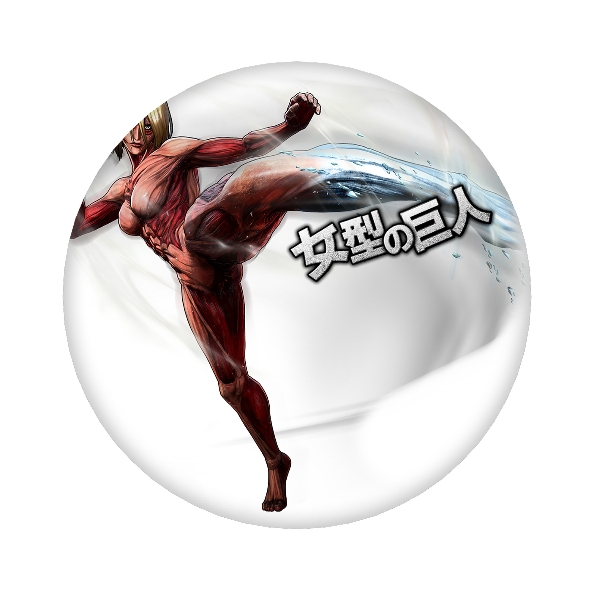（画像用） 進撃の巨人 Attack on Titan 6cm 缶バッジ 複数セット