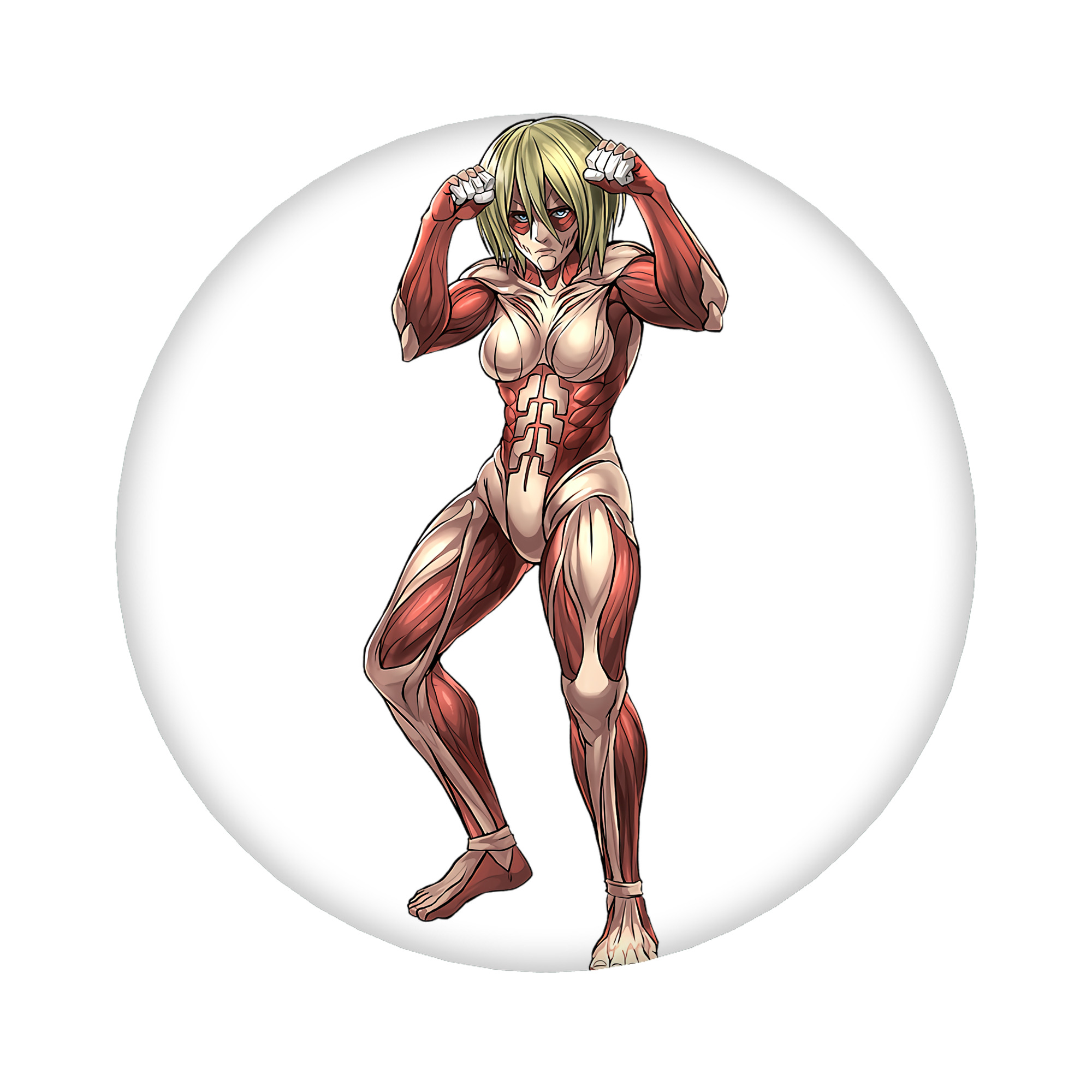 （画像用） 進撃の巨人 Attack on Titan 6cm 缶バッジ 複数セット