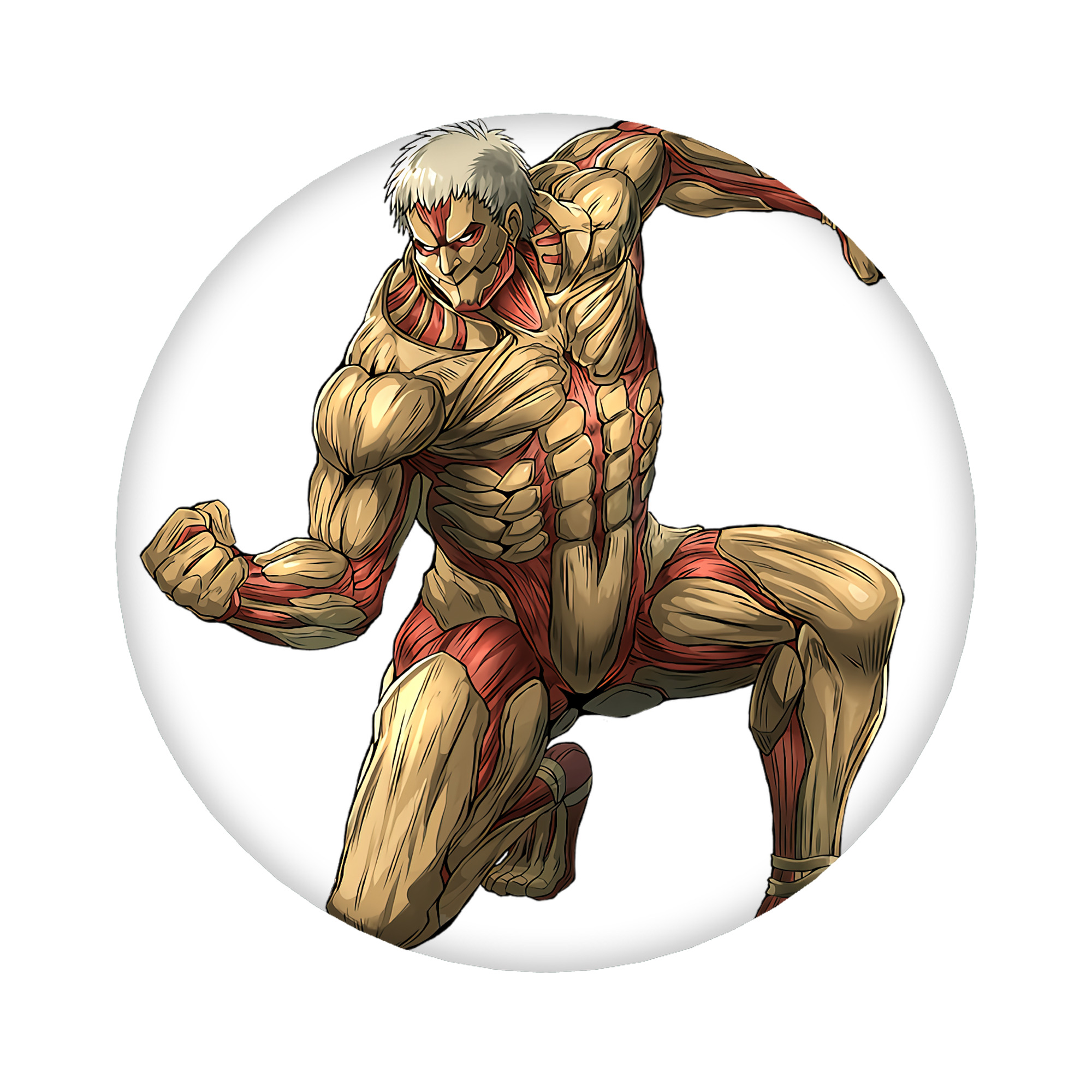 （画像用） 進撃の巨人 Attack on Titan 6cm 缶バッジ 複数セット