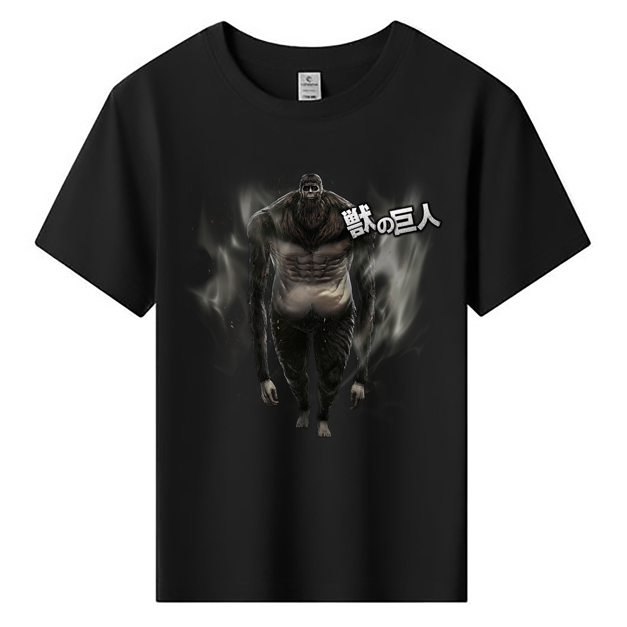（画像用） 進撃の巨人 Attack on Titan 綿100％キッズTシャツ（フロントプリント）