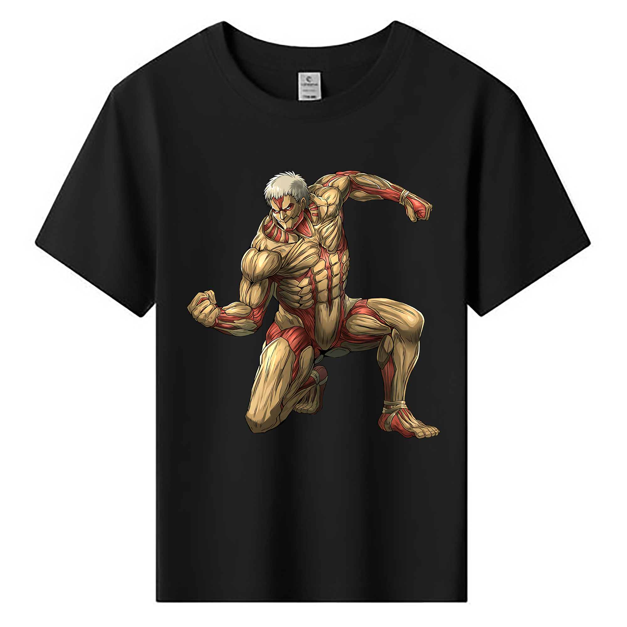 （画像用） 進撃の巨人 Attack on Titan 綿100％キッズTシャツ（フロントプリント）