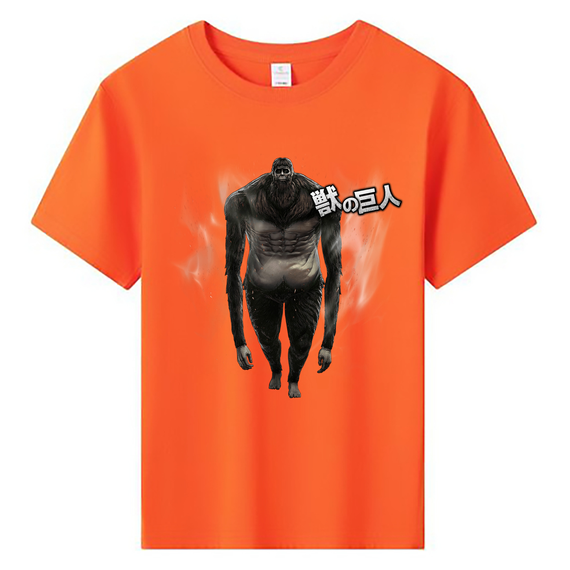 （画像用） 進撃の巨人 Attack on Titan 綿100％キッズTシャツ（フロントプリント）