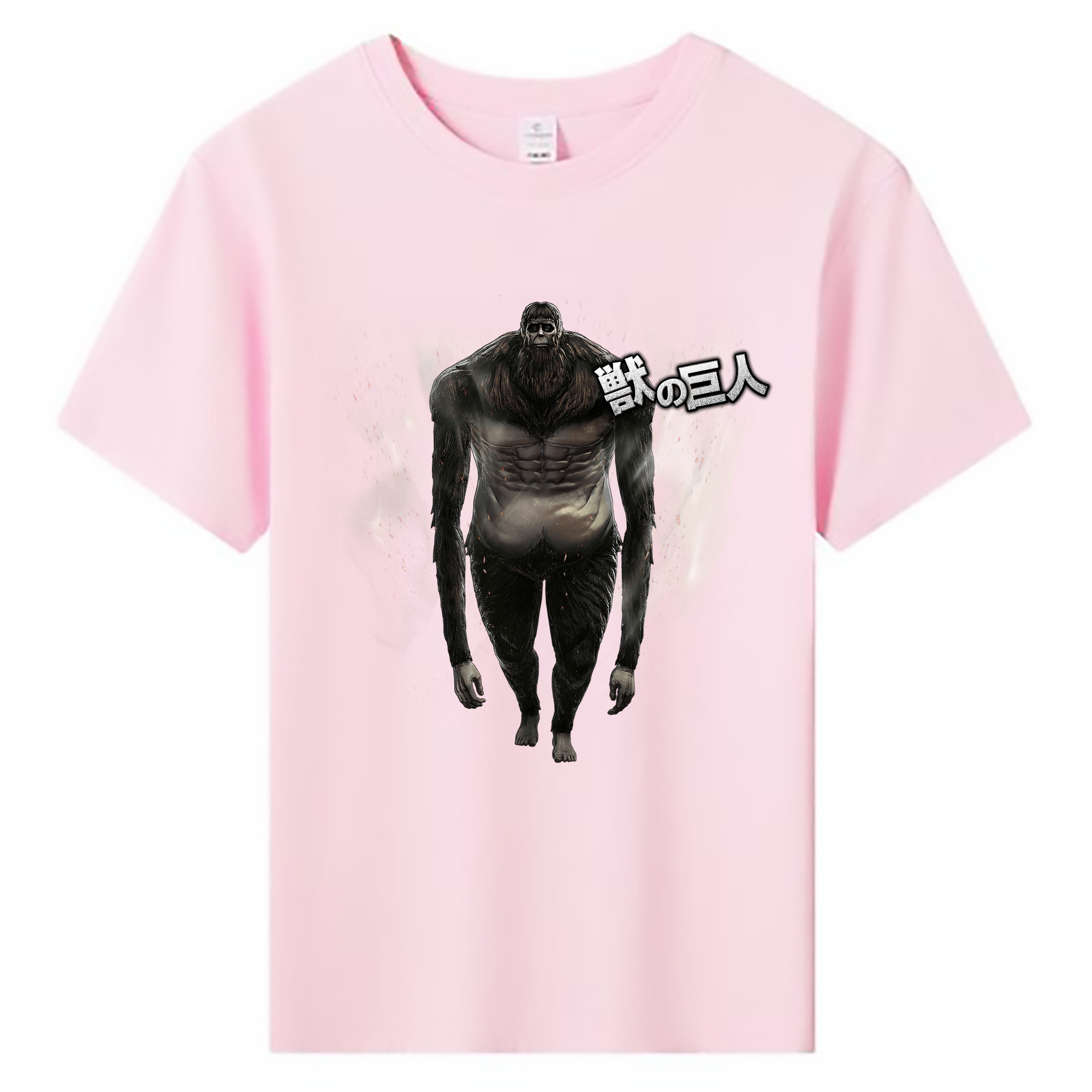 （画像用） 進撃の巨人 Attack on Titan 綿100％キッズTシャツ（フロントプリント）