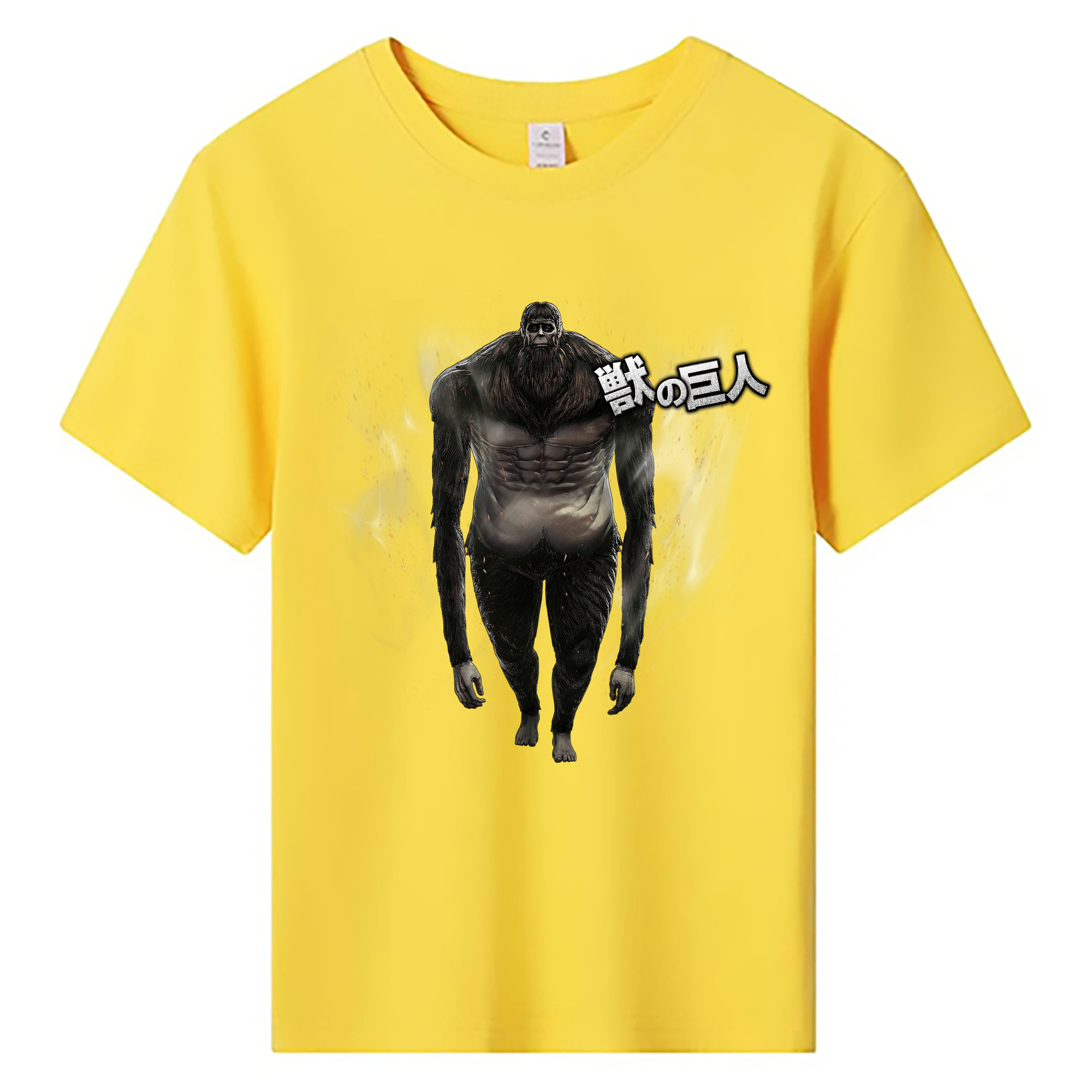 （画像用） 進撃の巨人 Attack on Titan 綿100％キッズTシャツ（フロントプリント）