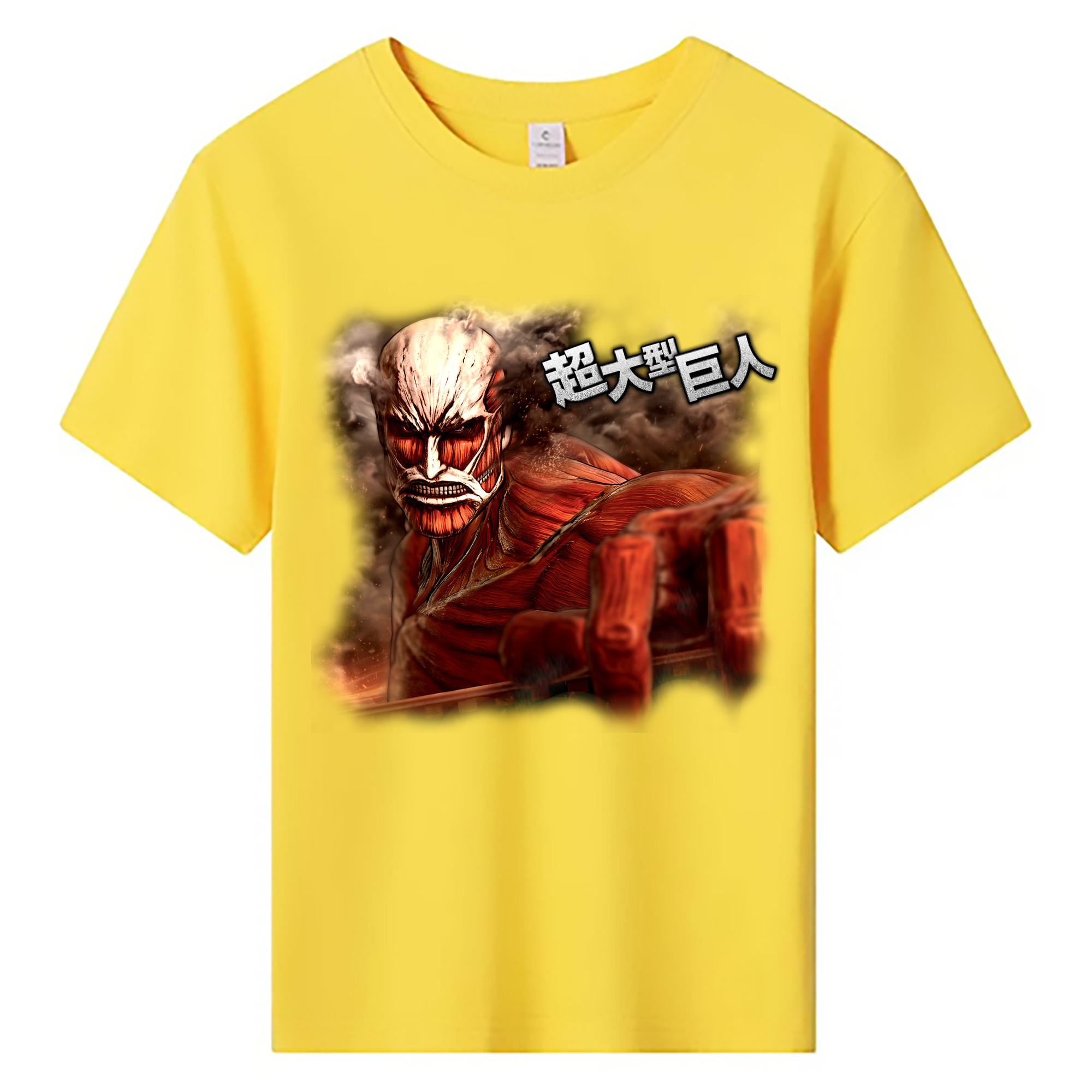 （画像用） 進撃の巨人 Attack on Titan 綿100％キッズTシャツ（フロントプリント）